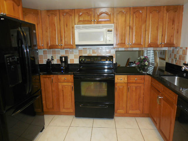 18070 102nd Way South Boca Raton, FL 33498 - Photo 4 of 24 Renovated Kitchen