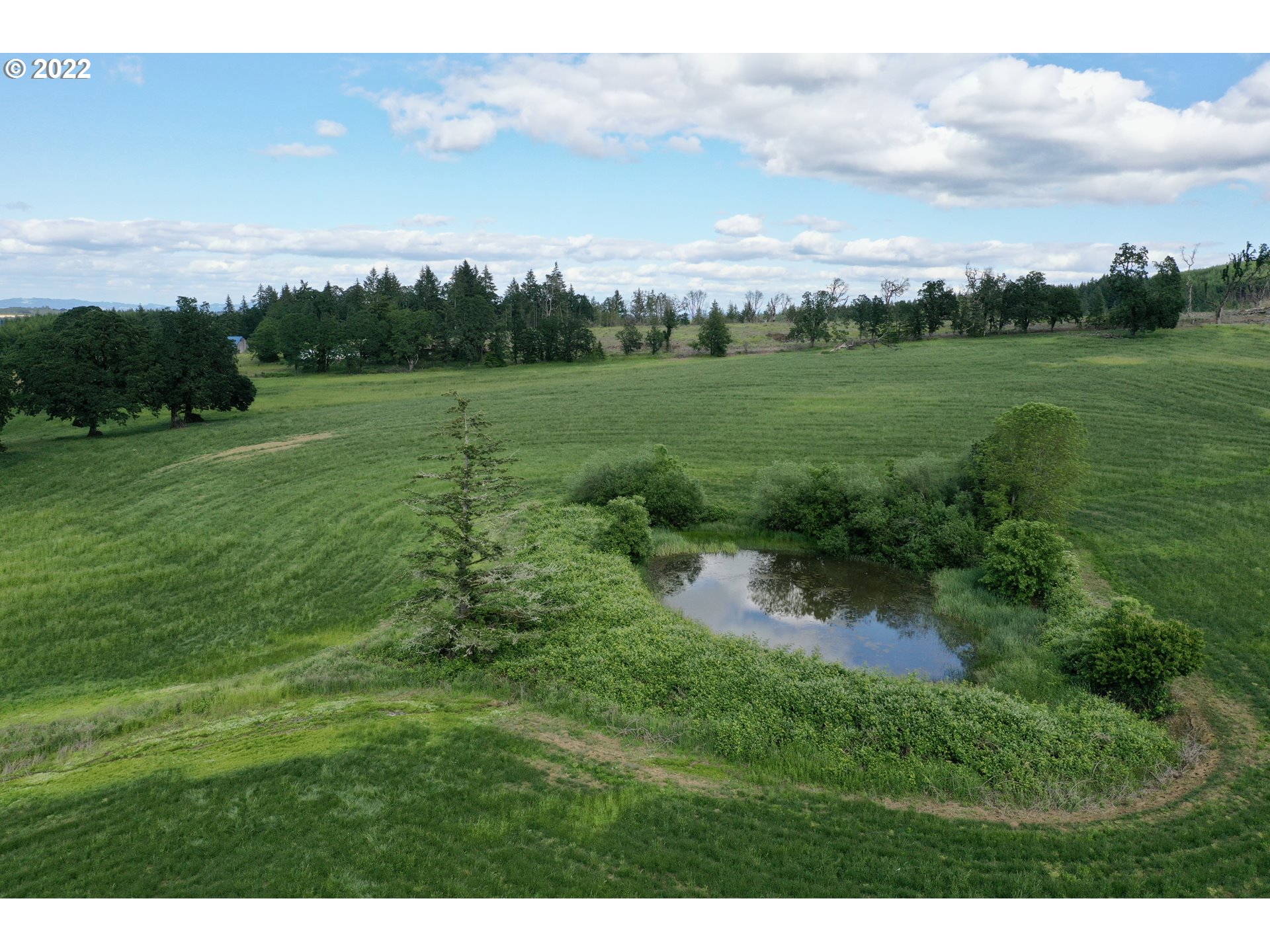 21475 Stone (across From) Road Sheridan, OR 97378 - Photo 13 of 24 a view of a big yard with large trees