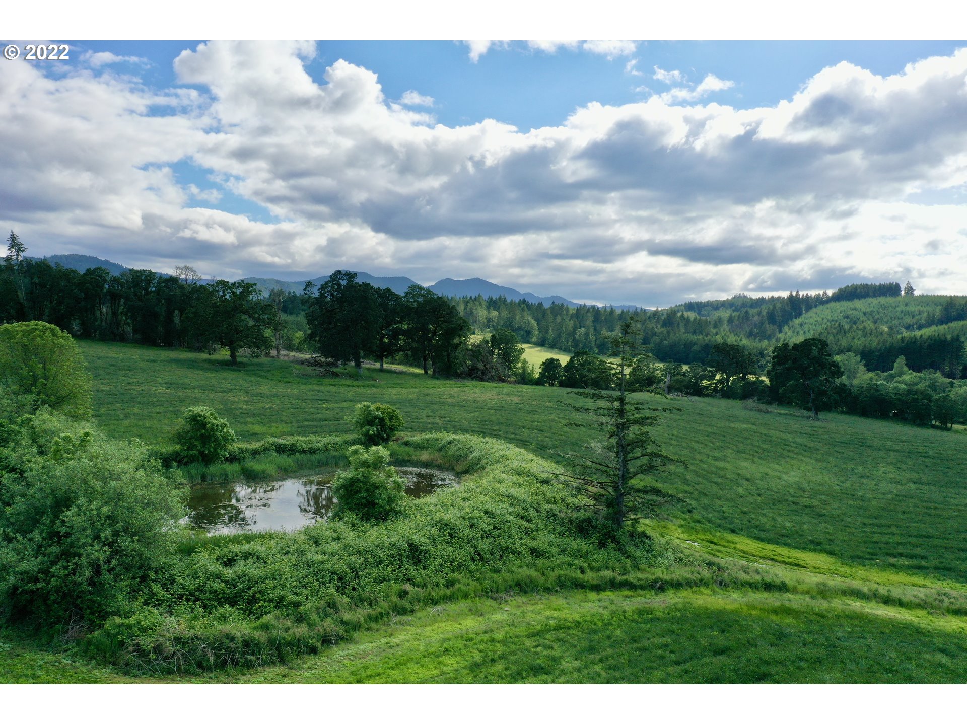 21475 Stone (across From) Road Sheridan, OR 97378 - Photo 15 of 24 a view of a golf course with a garden