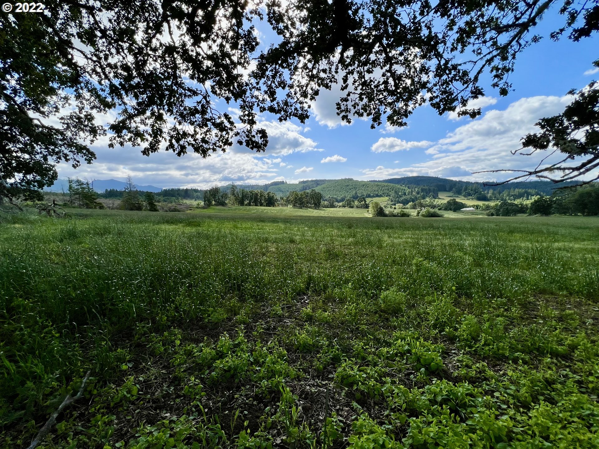 21475 Stone (across From) Road Sheridan, OR 97378 - Photo 17 of 24 a view of a lush green space