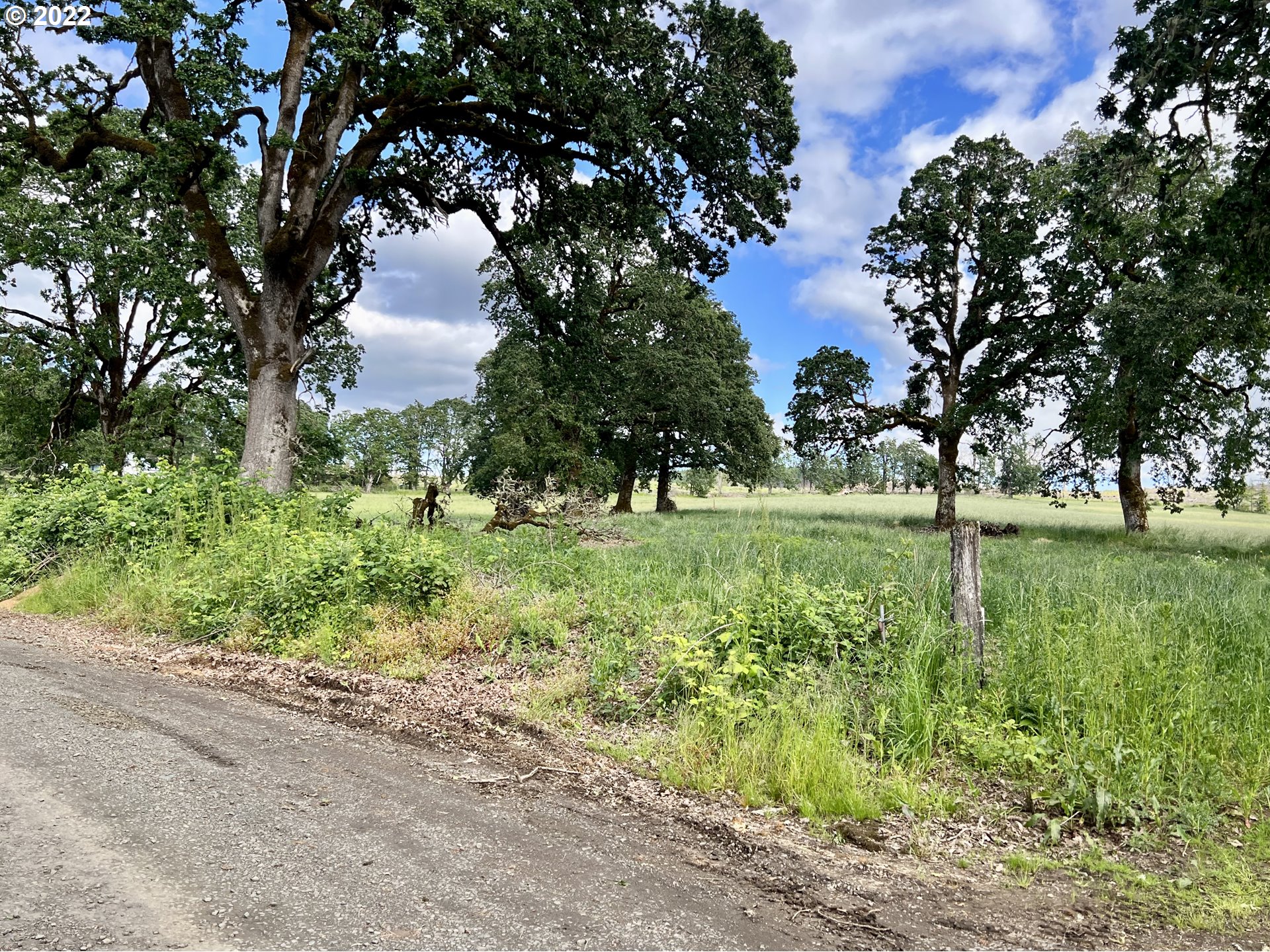 21475 Stone (across From) Road Sheridan, OR 97378 - Photo 20 of 24 a view of a park with large trees