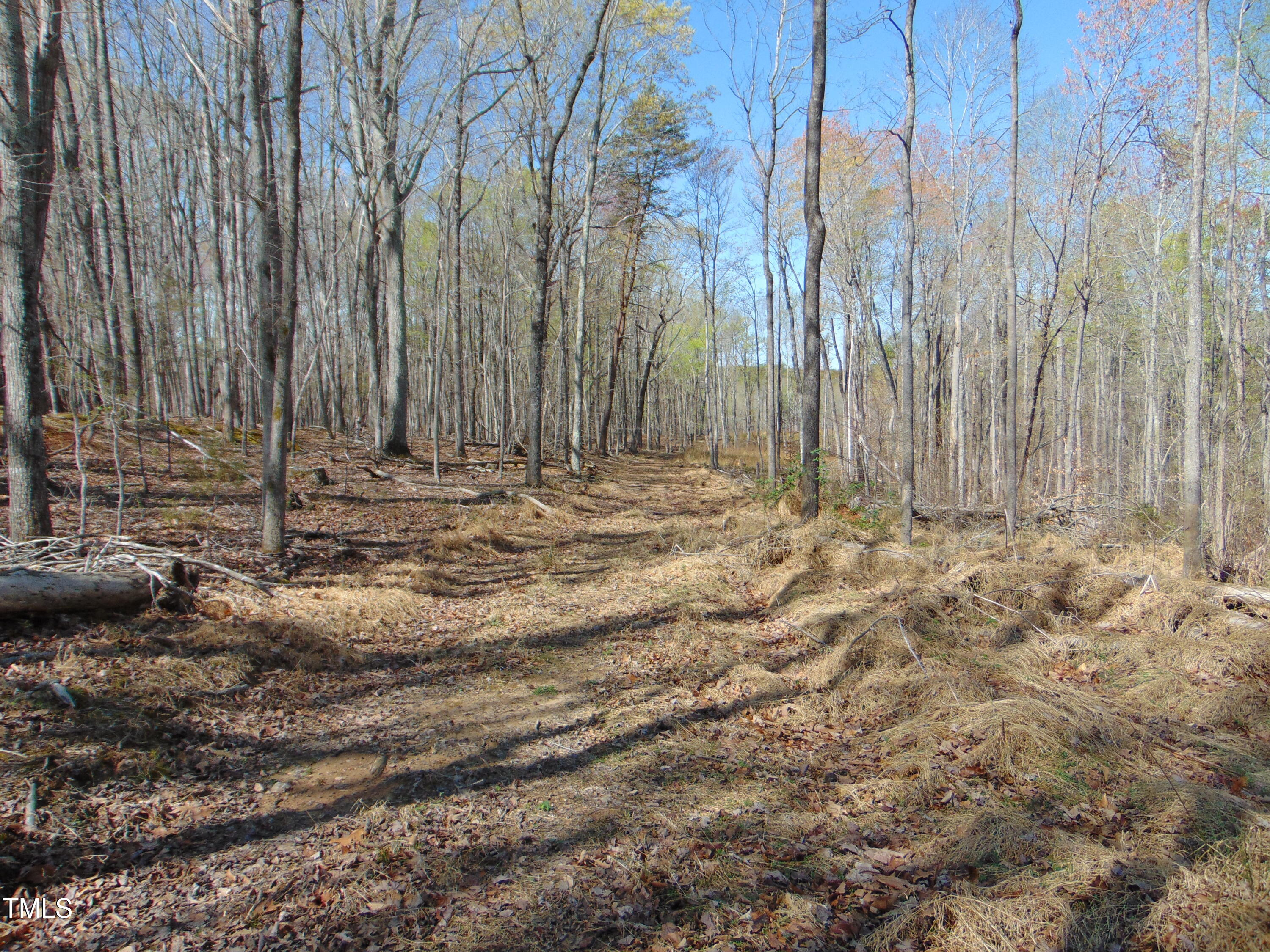 2391 Allison Road Pelham, NC 27311 - Photo 63 of 70 DSC01094
