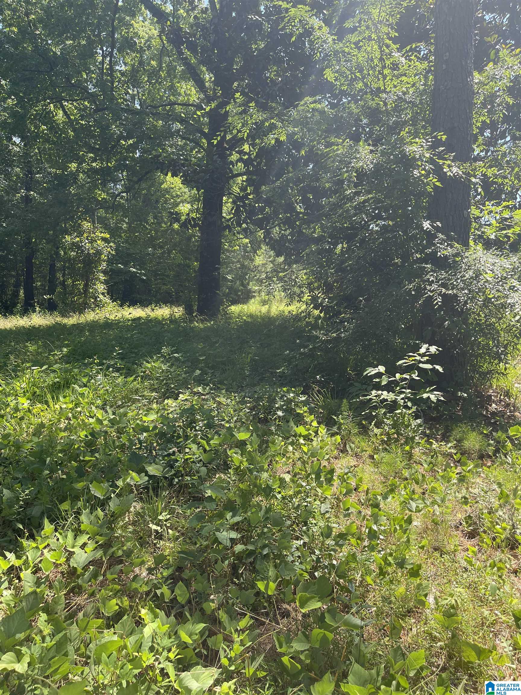 3288 Spunky Hollow Road, Unit 1 Remlap, AL 35133 - Photo 2 of 2