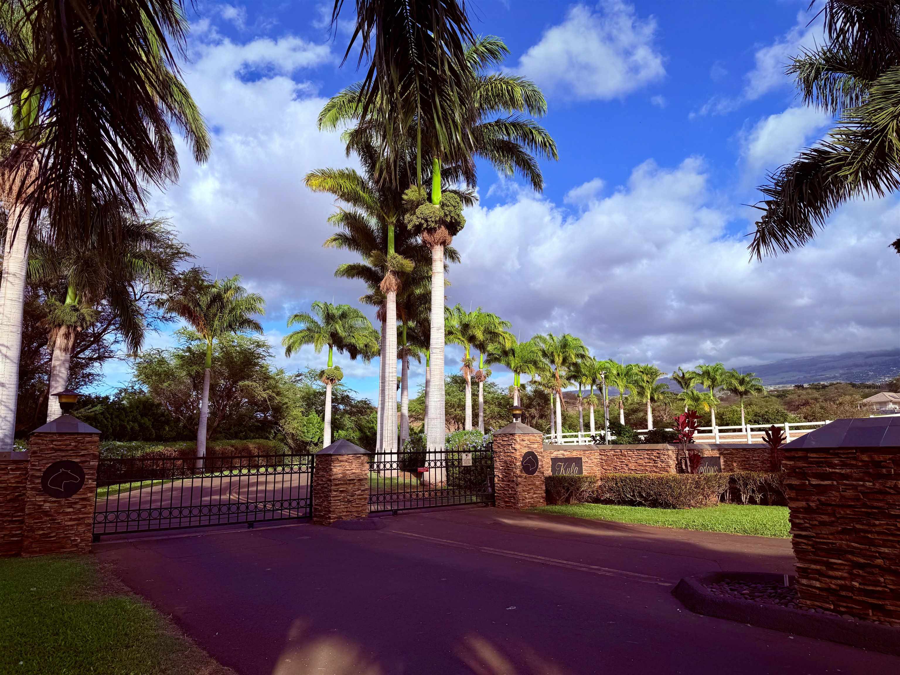 15 Apali Way Kula, HI 96790 - Photo 2 of 12 a view of a street with houses