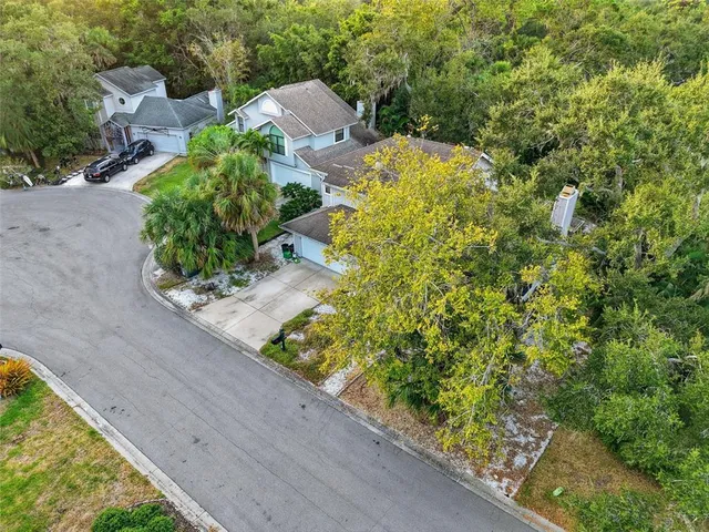 a view of a garden with potted plants