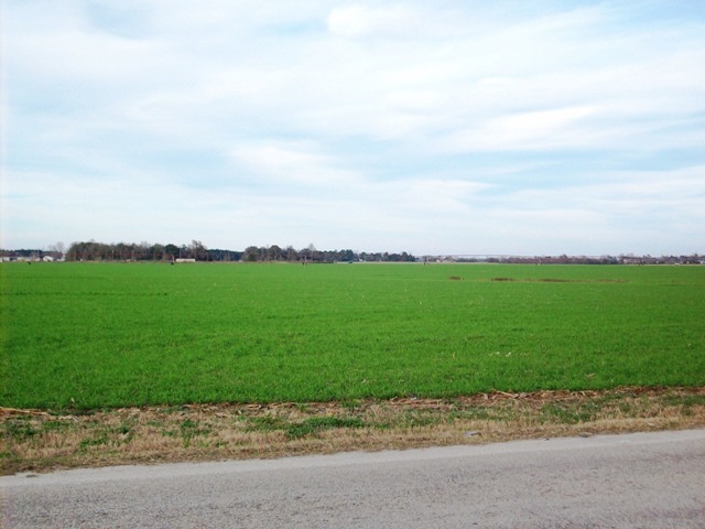 21 Highway 21 Atmore, AL 36502 - Photo 2 of 6