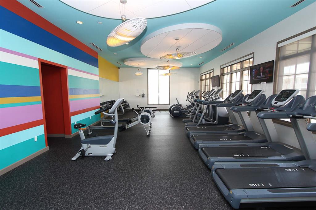 5310 Match Point Place Lithia, FL 33547 - Photo 26 of 33 a view of a room with gym equipment