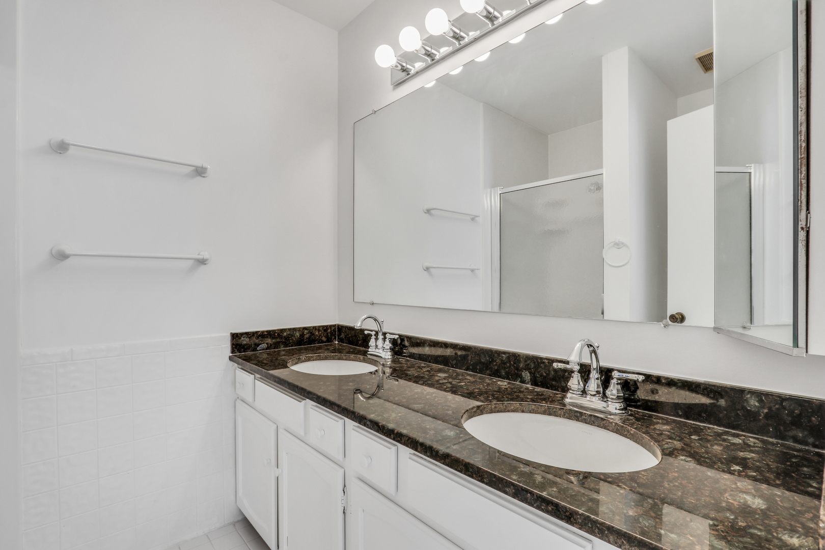 1346 Deer Run Road Gurnee, IL 60031 - Photo 25 of 36 a bathroom with a granite countertop sink a mirror and a shower