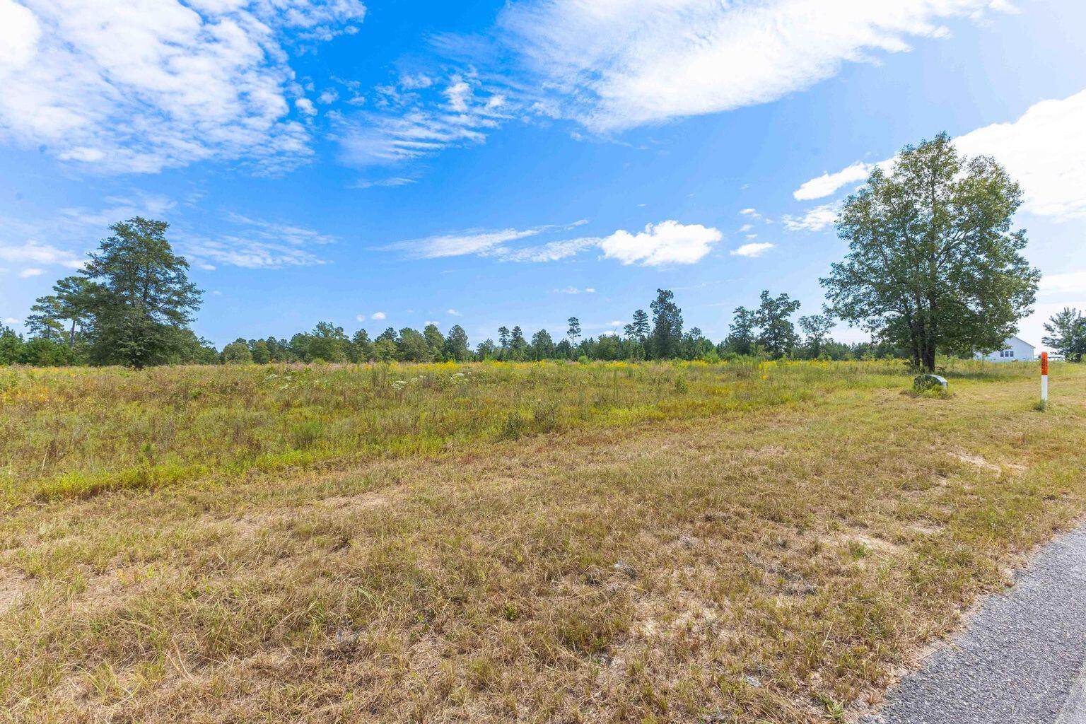 0 Cooks Pond Road Windsor, SC 29856 - Photo 12 of 14 20250908123323008841000000-o