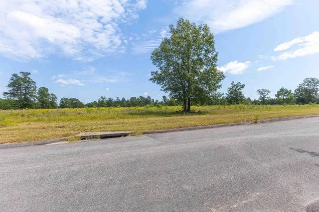 $105,000 | 0 Cooks Pond Road, Windsor, SC 29856