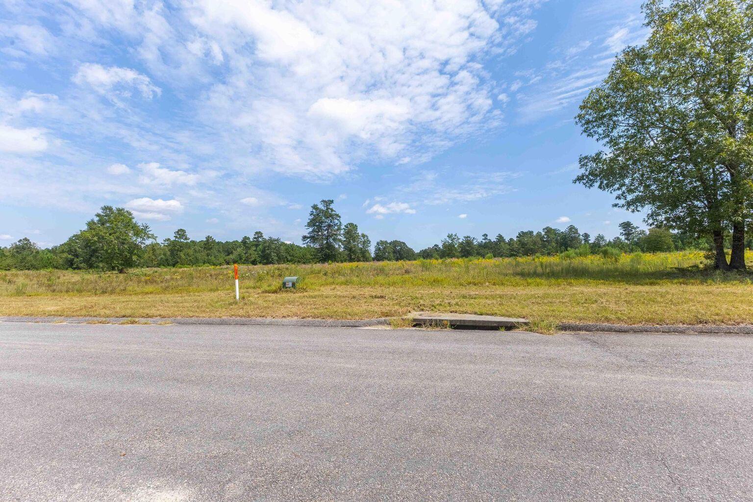 0 Cooks Pond Road Windsor, SC 29856 - Photo 14 of 14 20250908123349399694000000-o