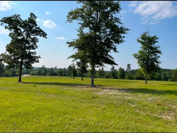 $105,000 | 0 Cooks Pond Road, Windsor, SC 29856