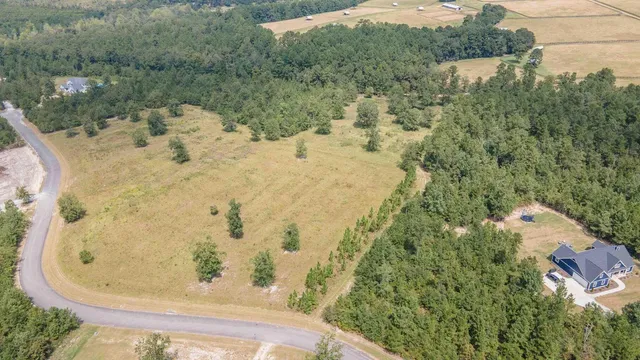 $105,000 | 0 Cooks Pond Road, Windsor, SC 29856