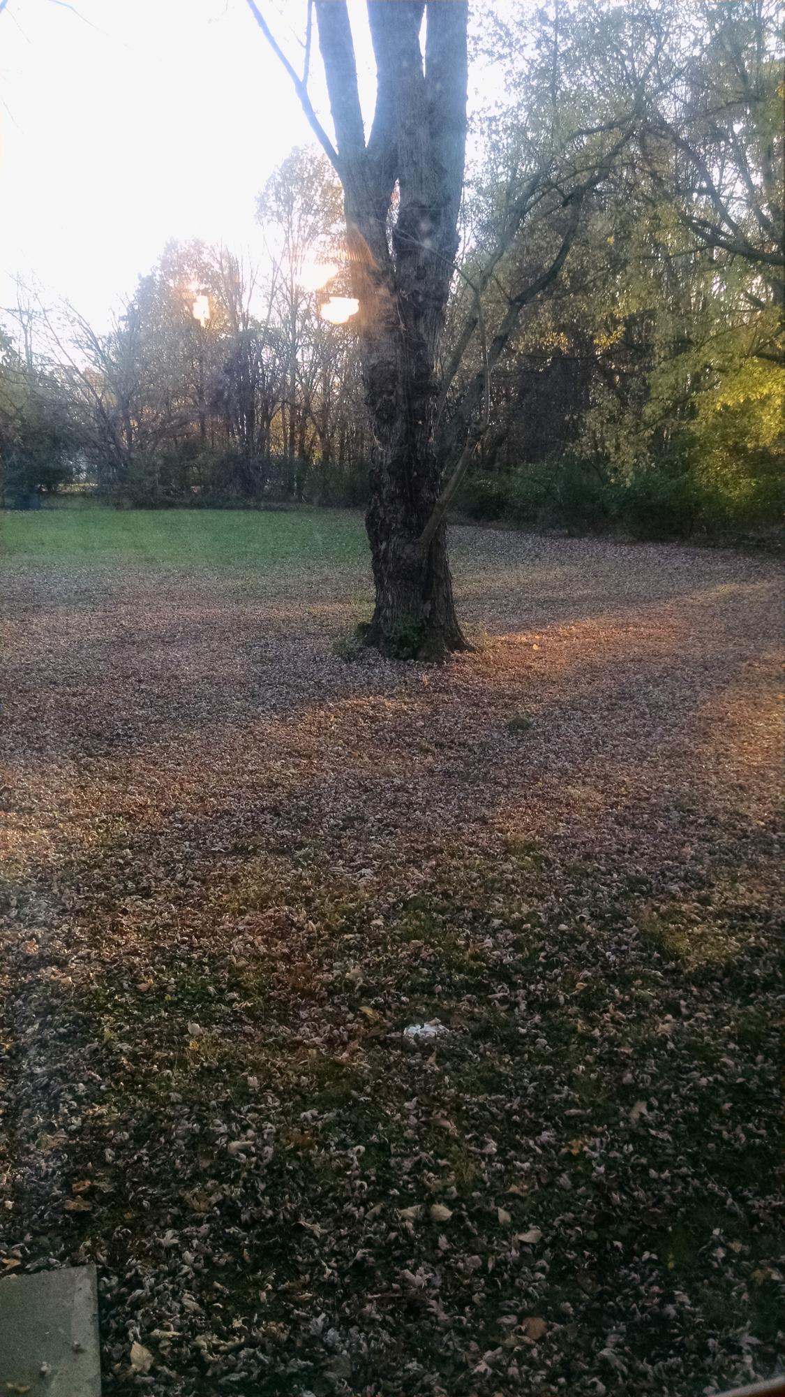 199 East Wilson Bridge Road Columbus, OH 43085 - Photo 4 of 18