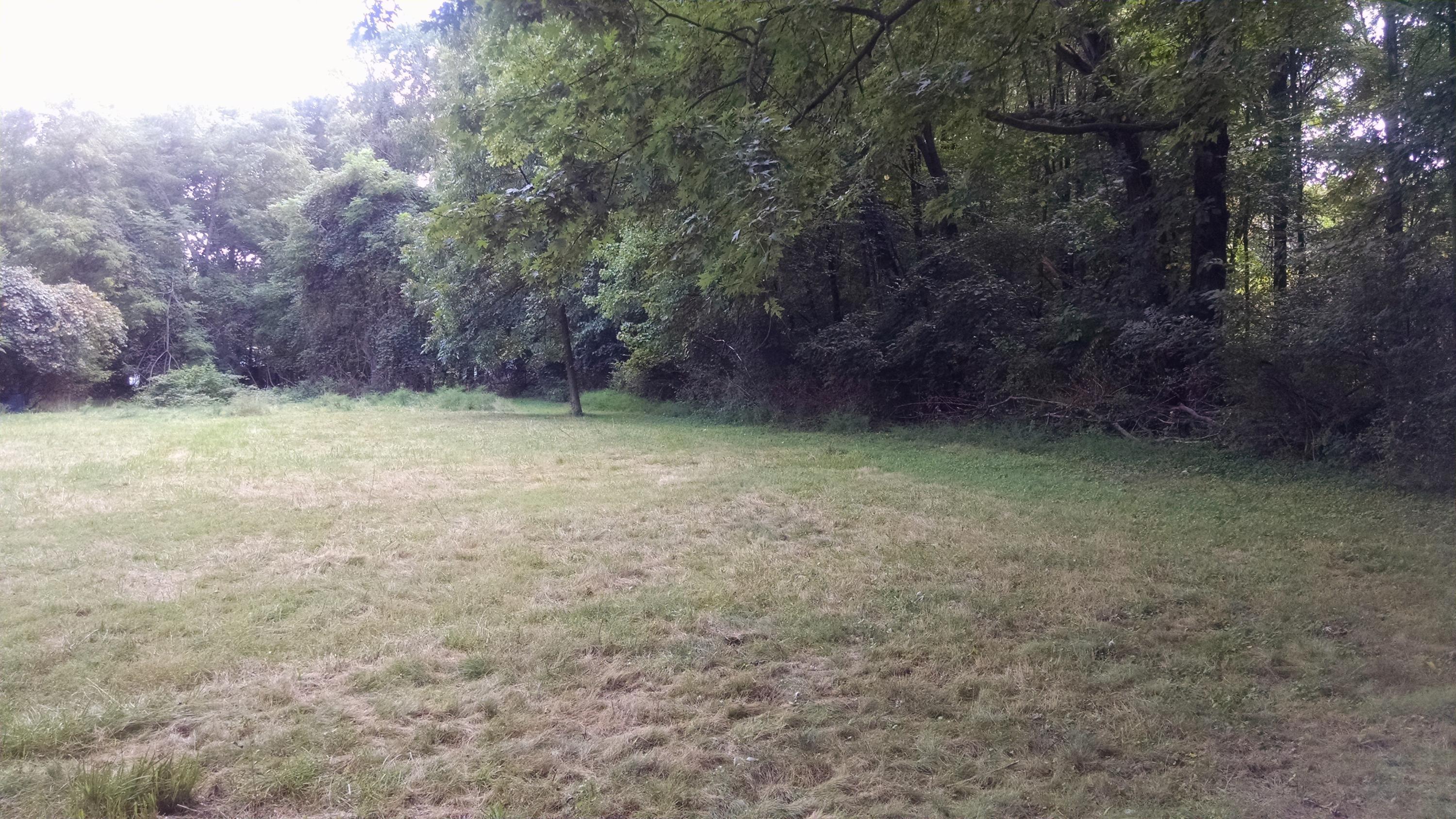 199 East Wilson Bridge Road Columbus, OH 43085 - Photo 5 of 18