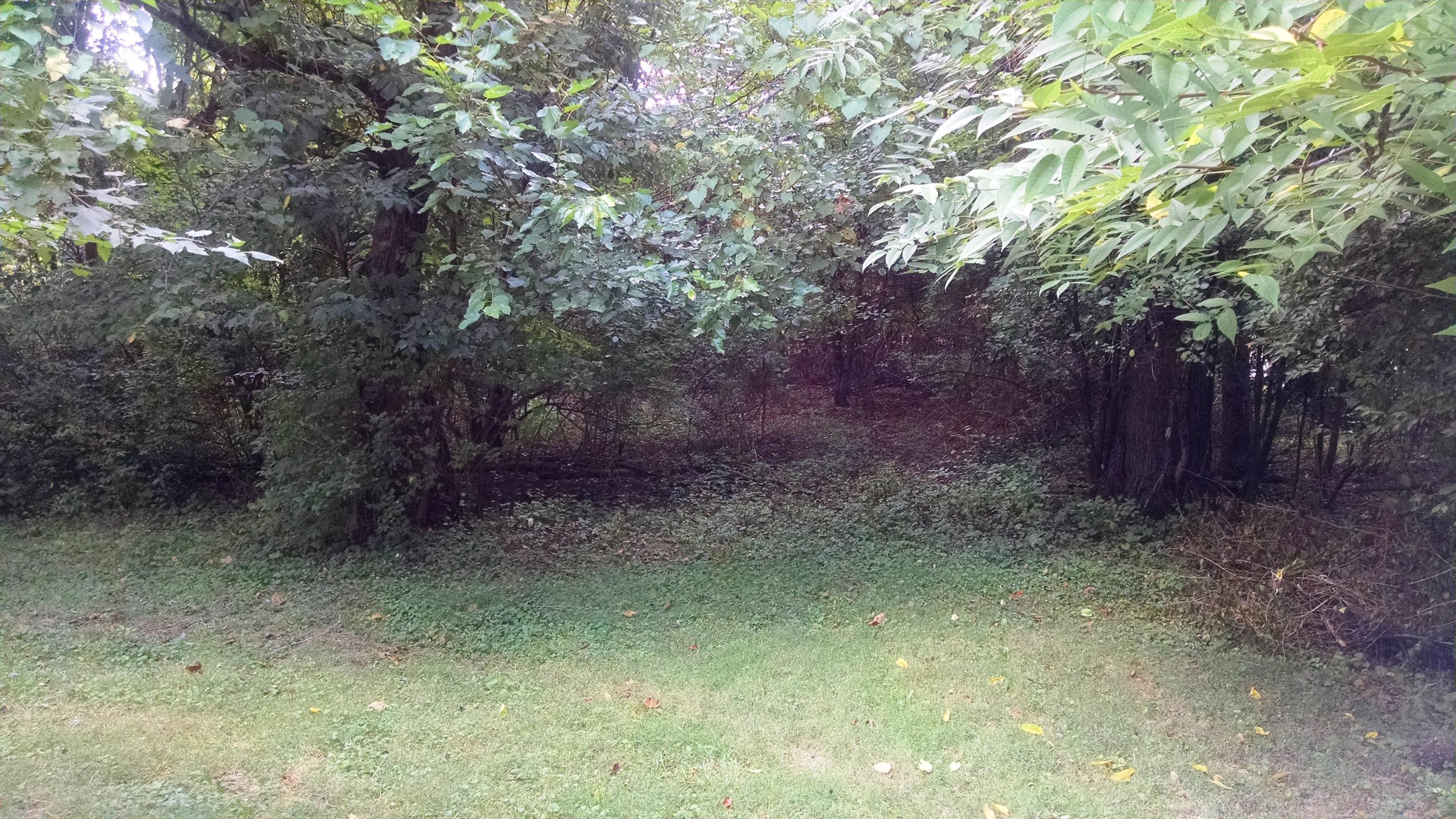 199 East Wilson Bridge Road Columbus, OH 43085 - Photo 6 of 18