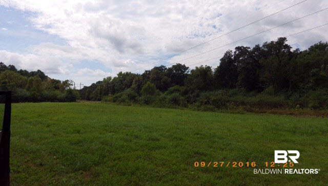 16910 Highway 98 Foley, AL 36535 - Photo 2 of 13
