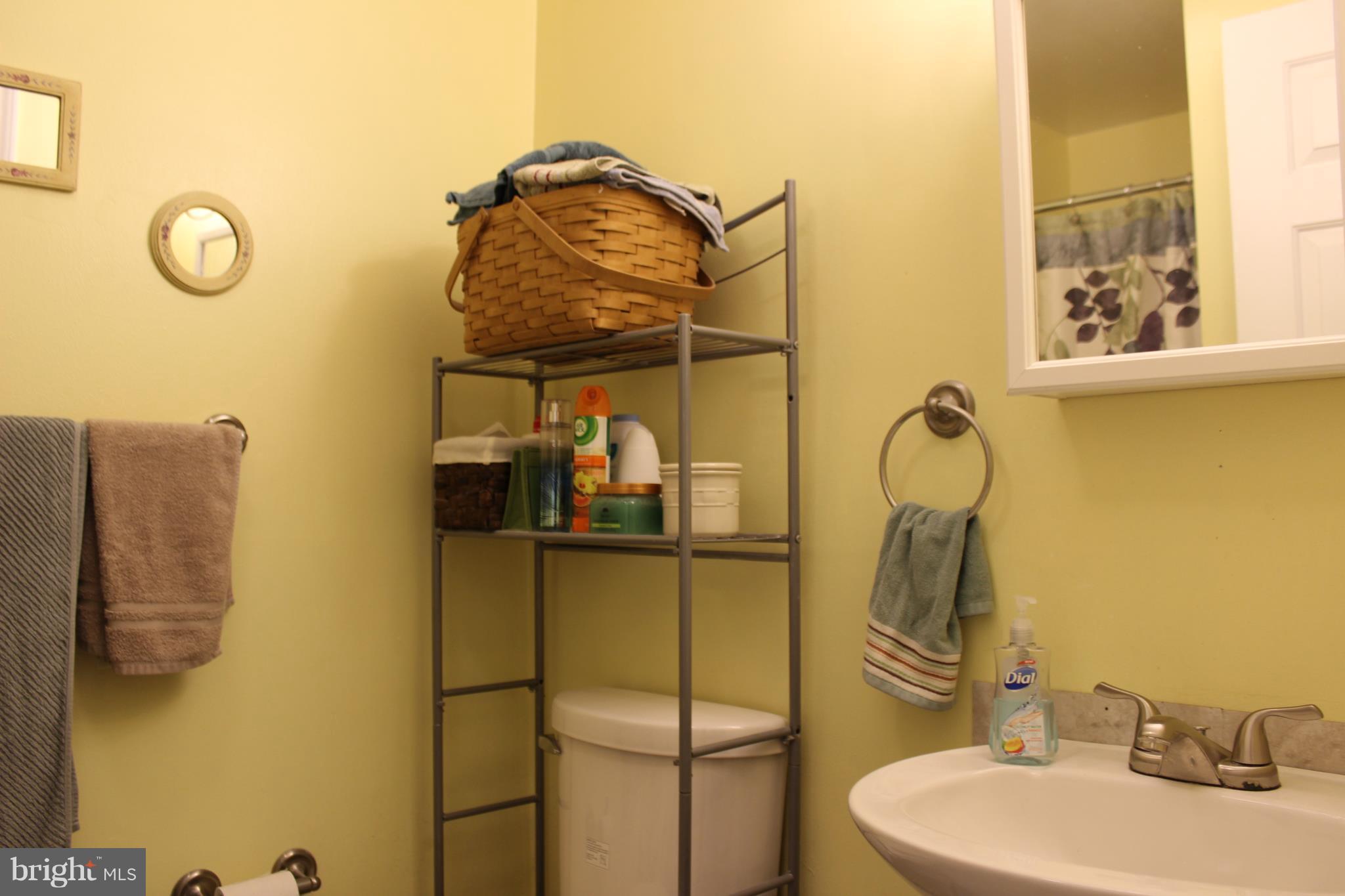 132 Darden Road Chestertown, MD 21620 - Photo 11 of 12 Bath (Master)