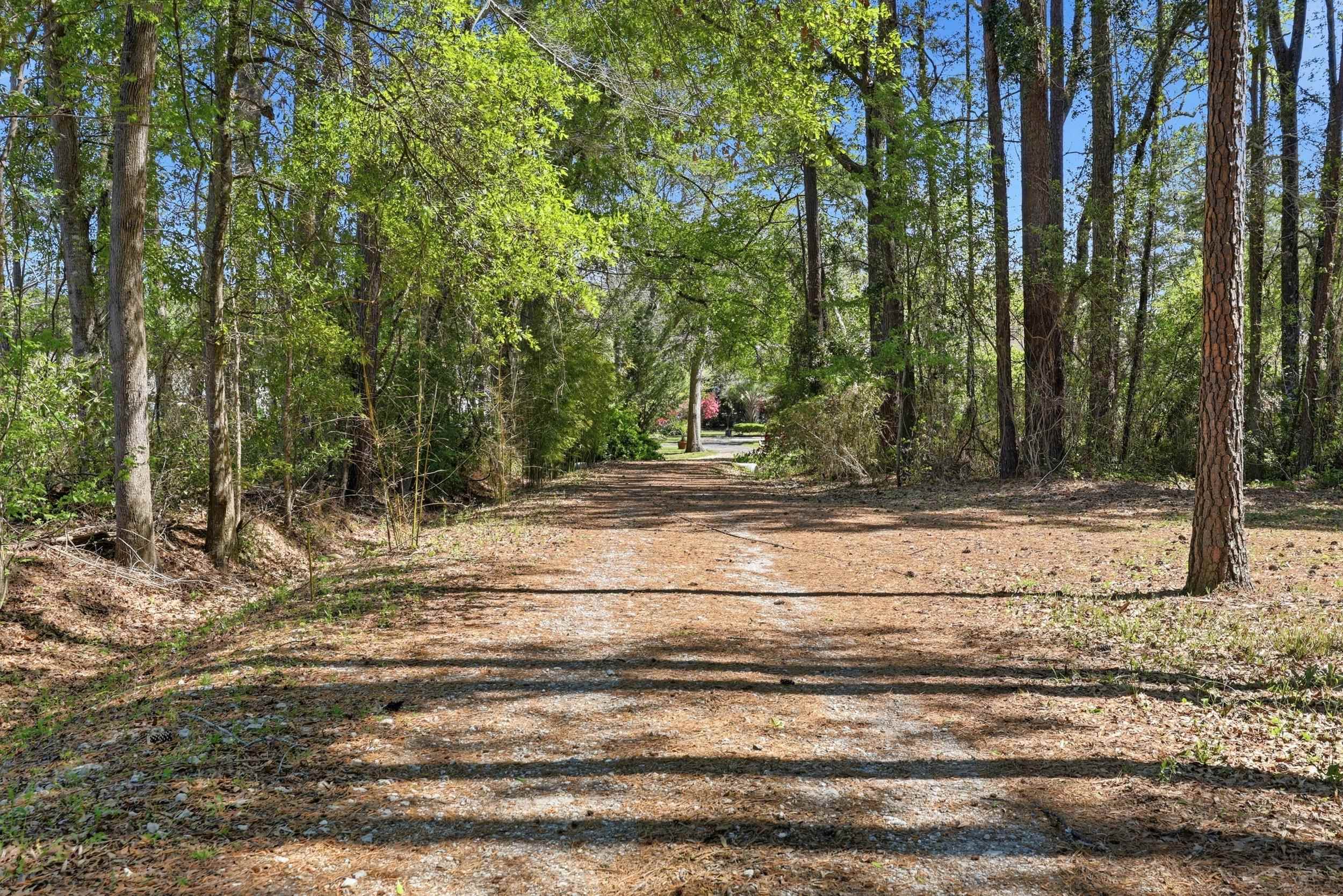 11091 Highway 707 Murrells Inlet, SC 29576 - Photo 28 of 41