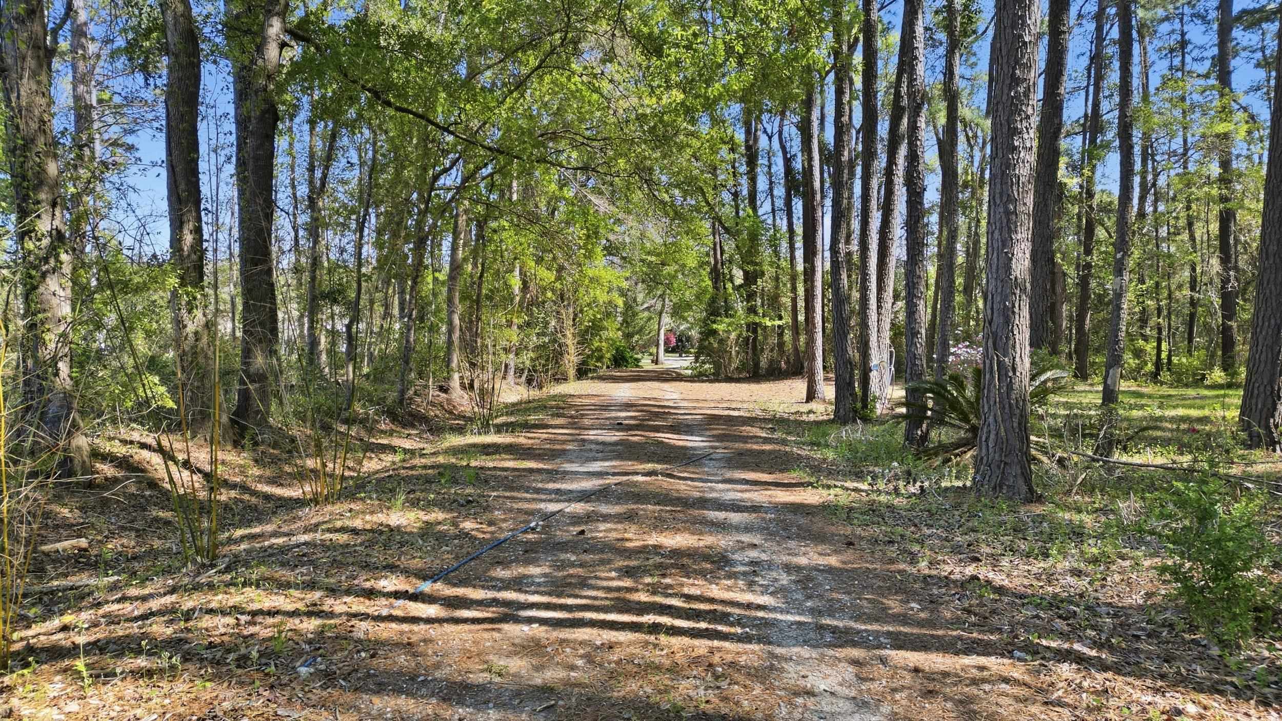 11091 Highway 707 Murrells Inlet, SC 29576 - Photo 29 of 41