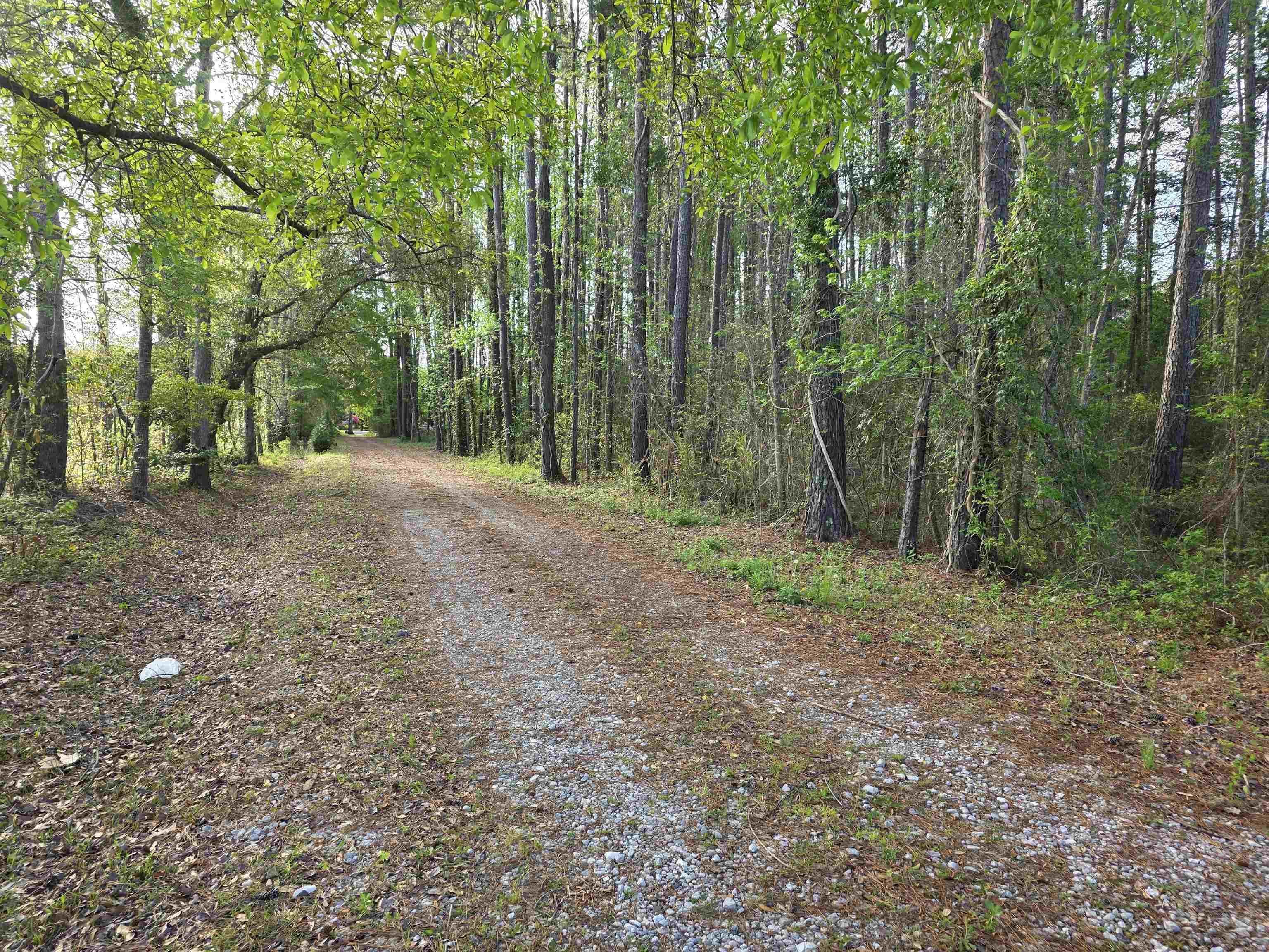 11091 Highway 707 Murrells Inlet, SC 29576 - Photo 33 of 41