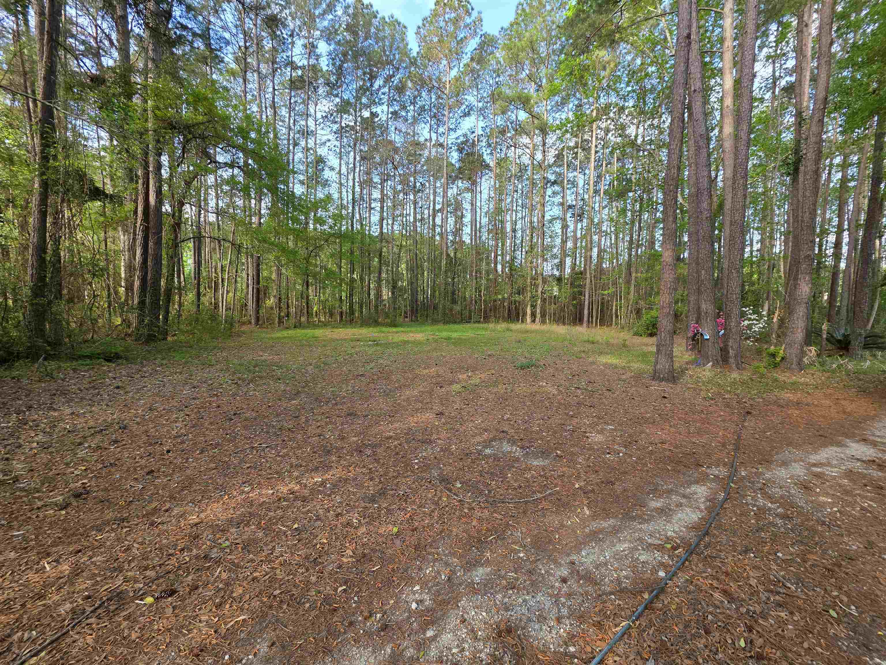 11091 Highway 707 Murrells Inlet, SC 29576 - Photo 34 of 41