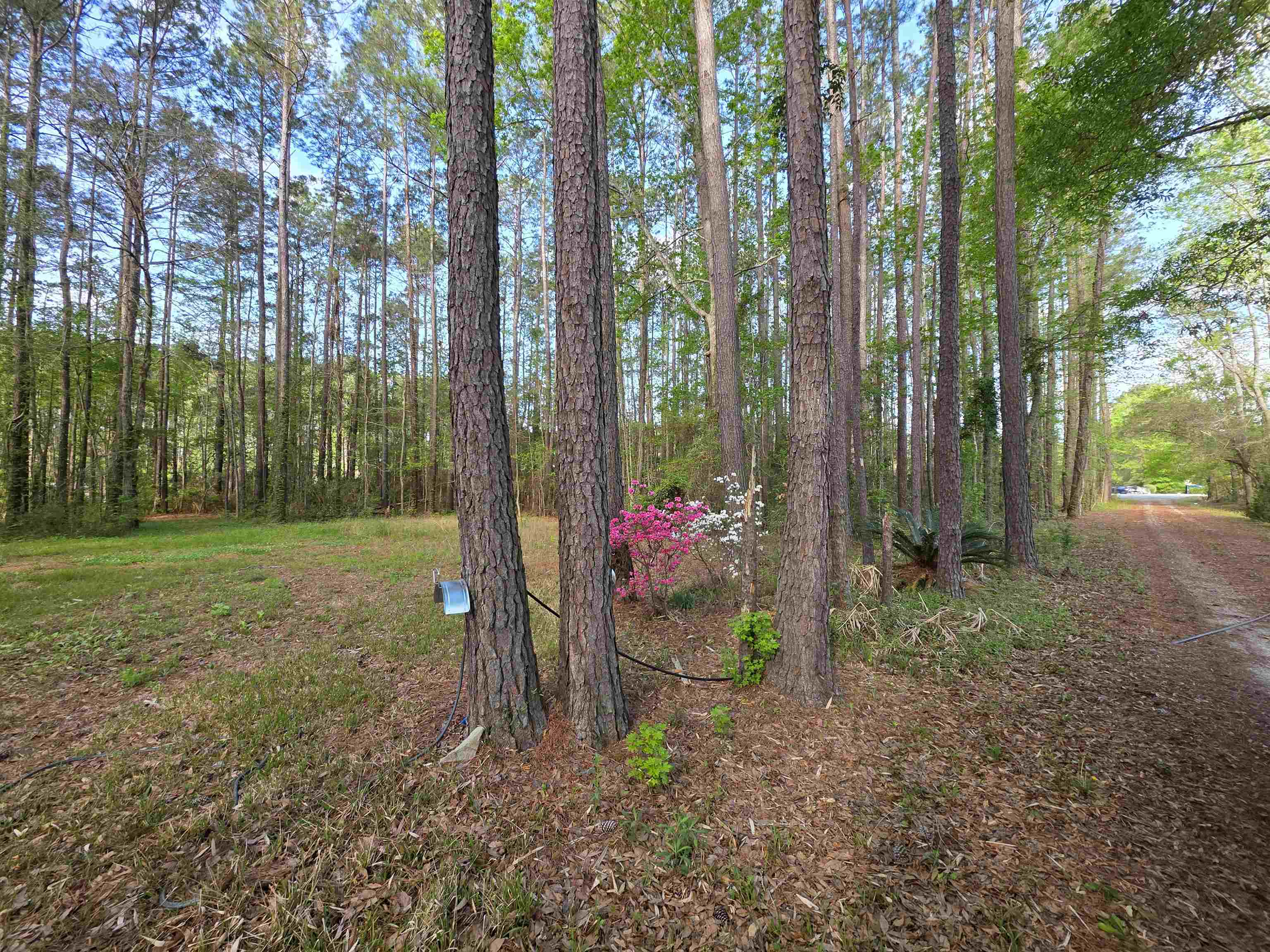 11091 Highway 707 Murrells Inlet, SC 29576 - Photo 35 of 41