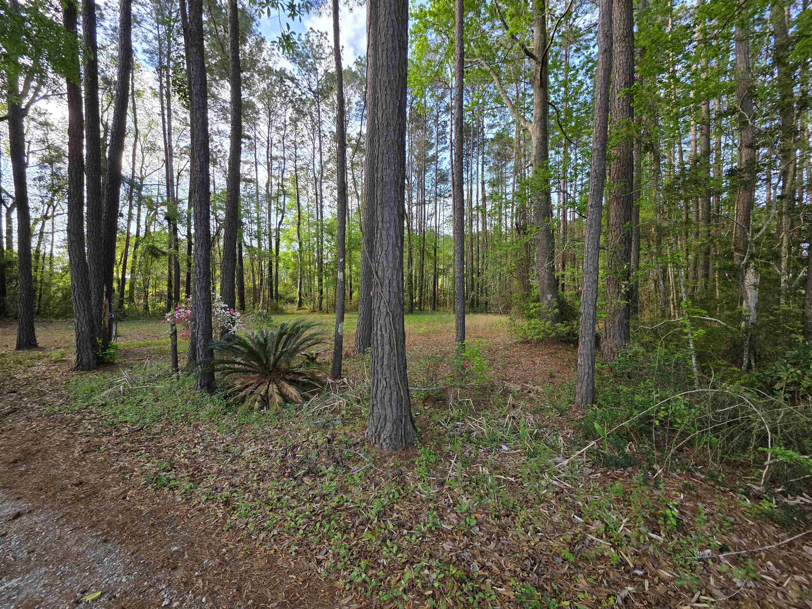 11091 Highway 707 Murrells Inlet, SC 29576 - Photo 36 of 41