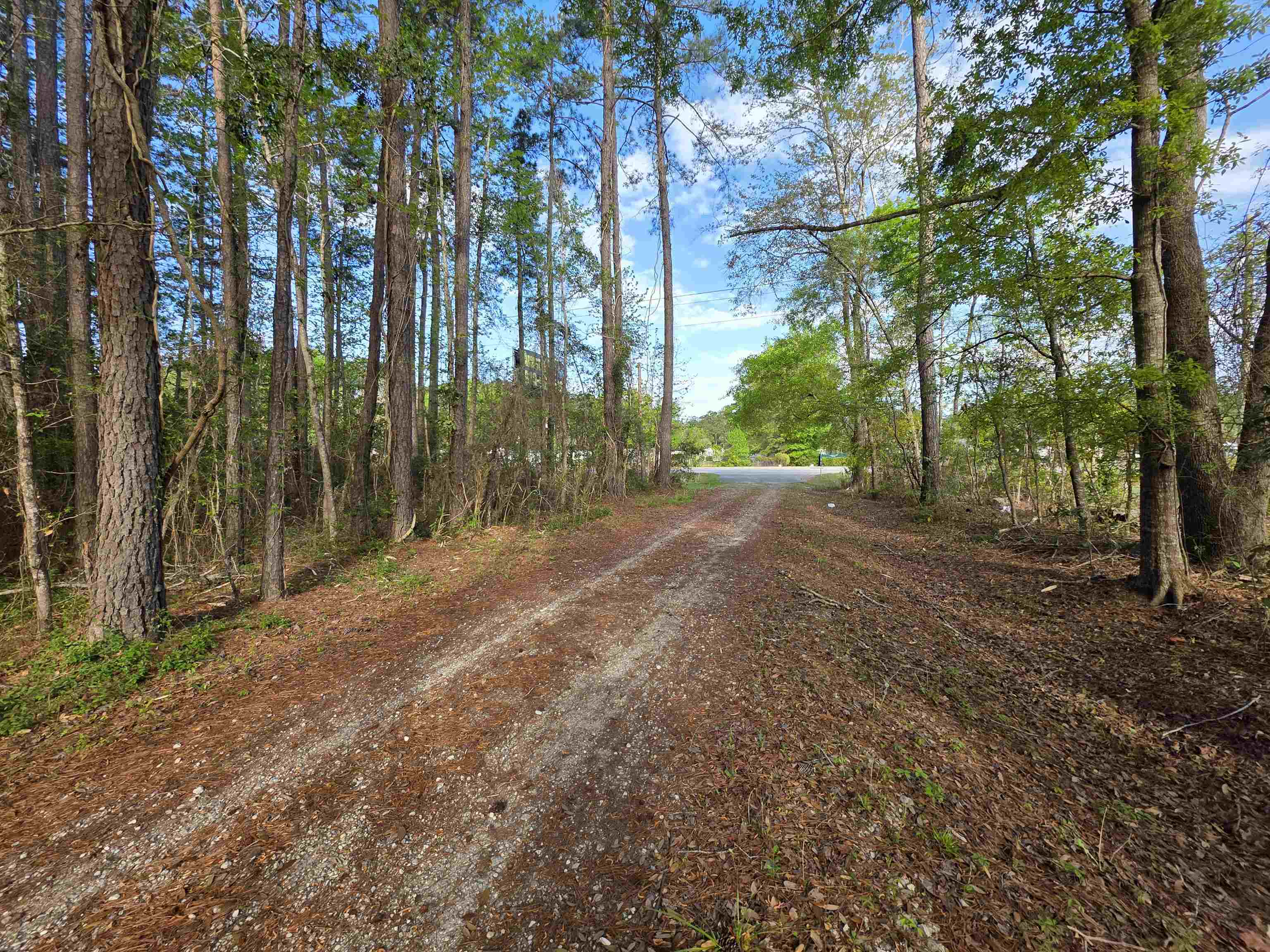 11091 Highway 707 Murrells Inlet, SC 29576 - Photo 37 of 41
