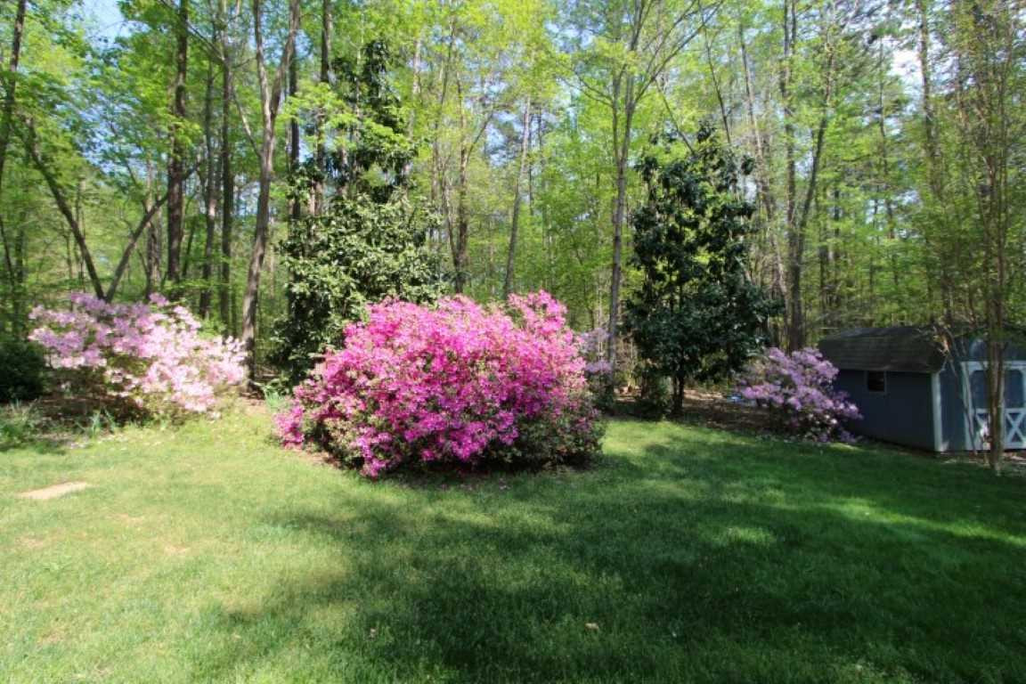 11808 Doc Arnold Drive Raleigh, NC 27614 - Photo 24 of 25 Photo 24