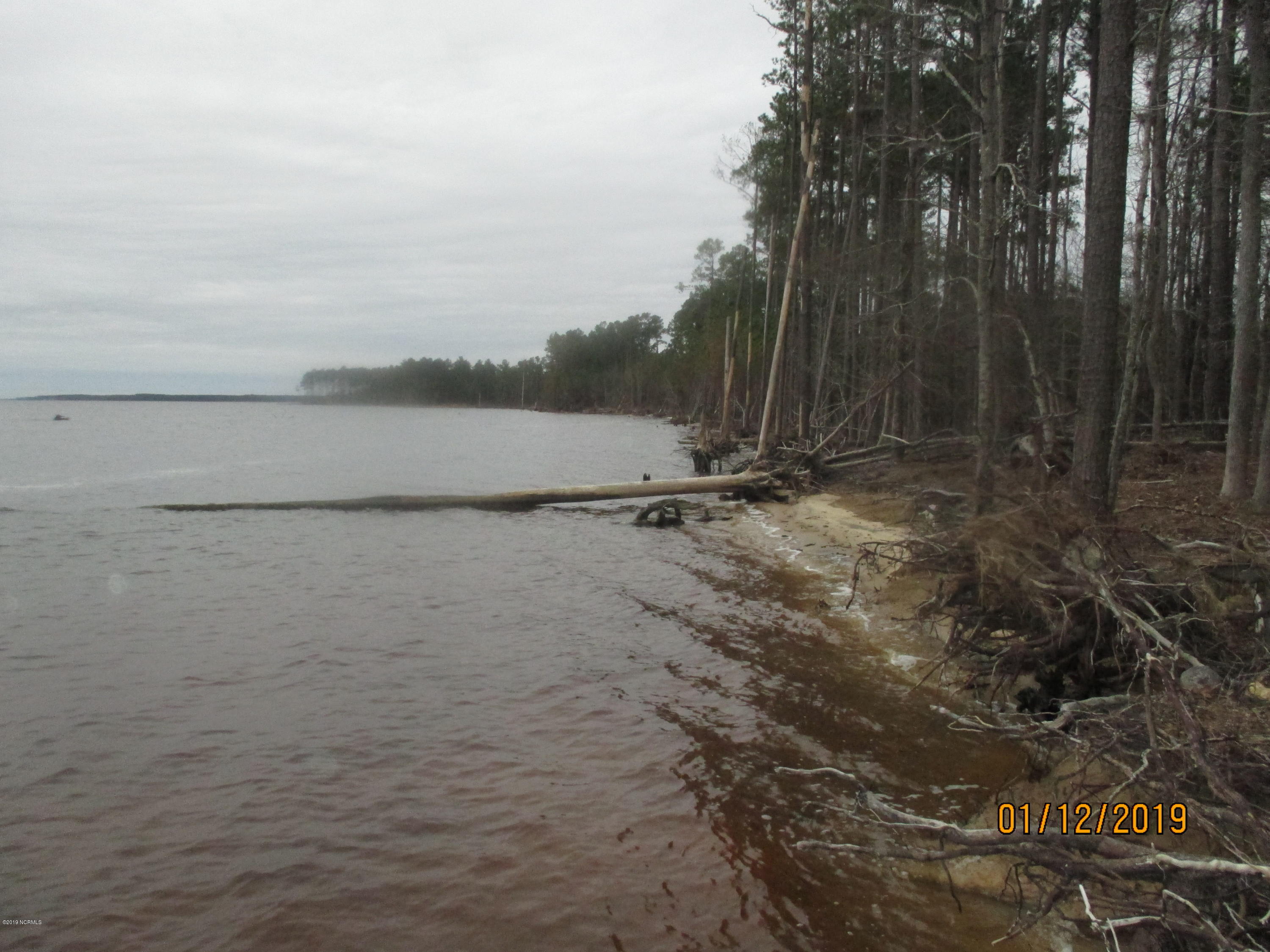 1722 State Road Belhaven, NC 27810 - Photo 1 of 20 Mike McCann Pungo River 011