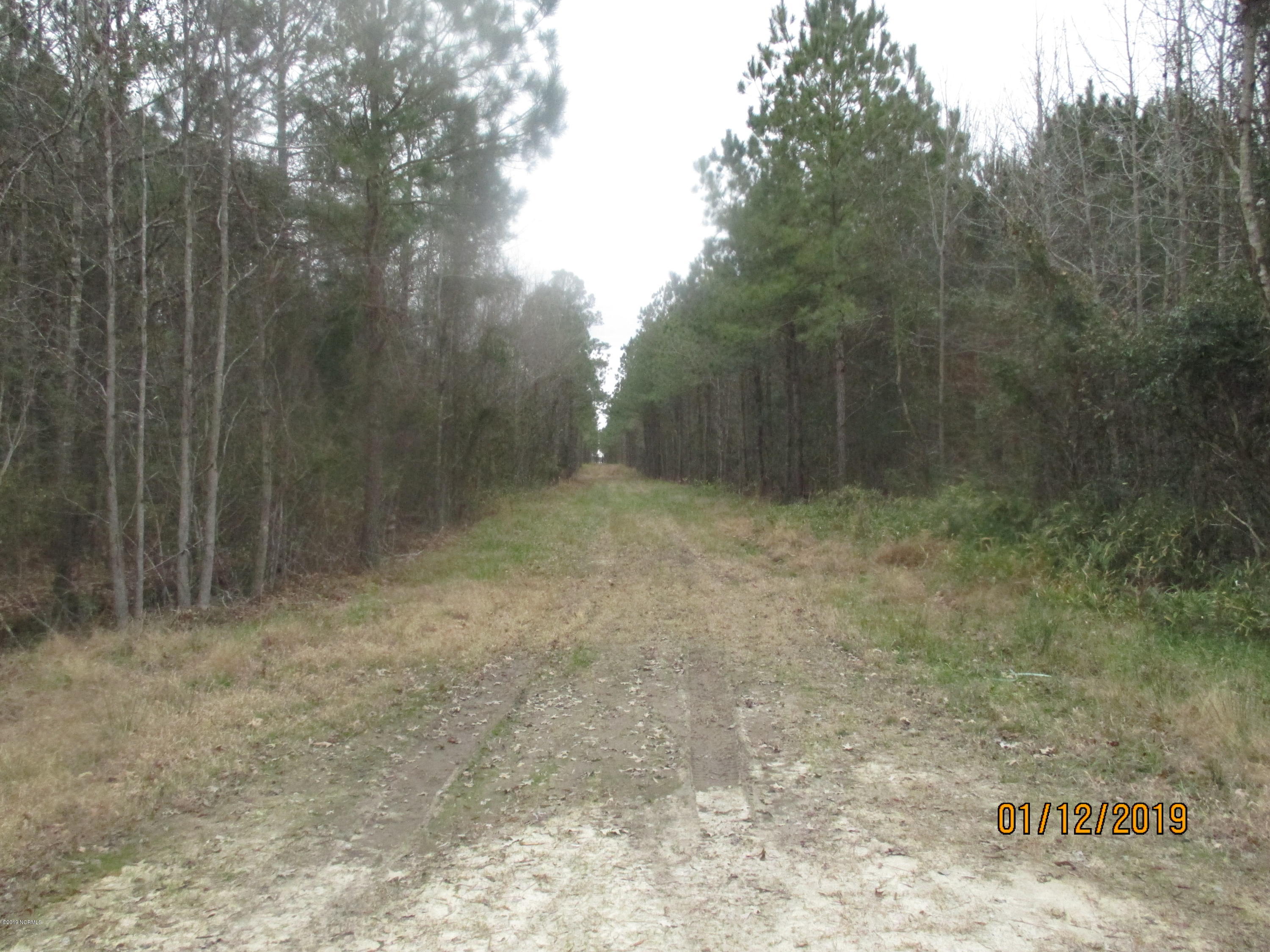 1722 State Road Belhaven, NC 27810 - Photo 11 of 20 Mike McCann Pungo River 005
