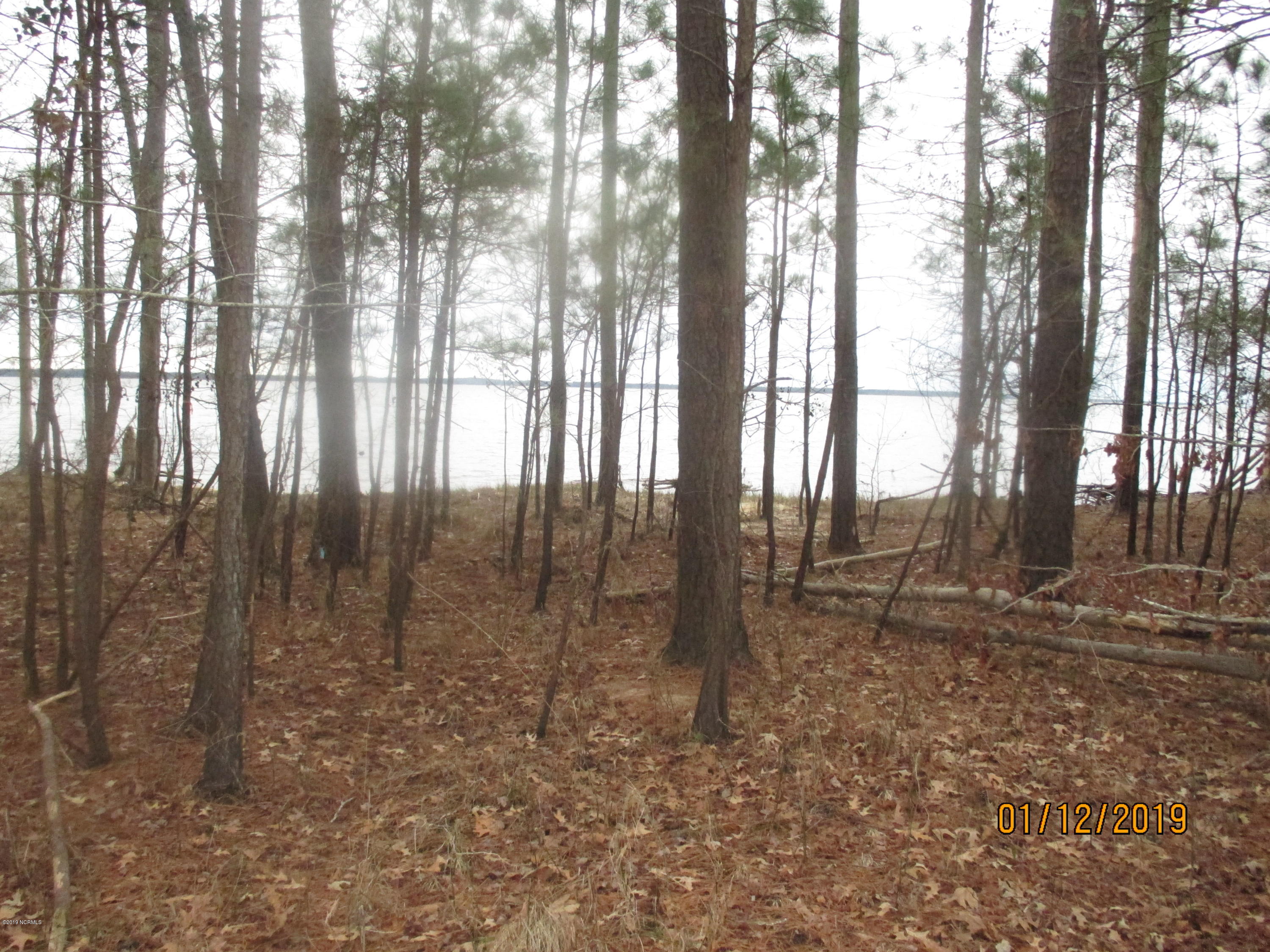 1722 State Road Belhaven, NC 27810 - Photo 15 of 20 Mike McCann Pungo River 013