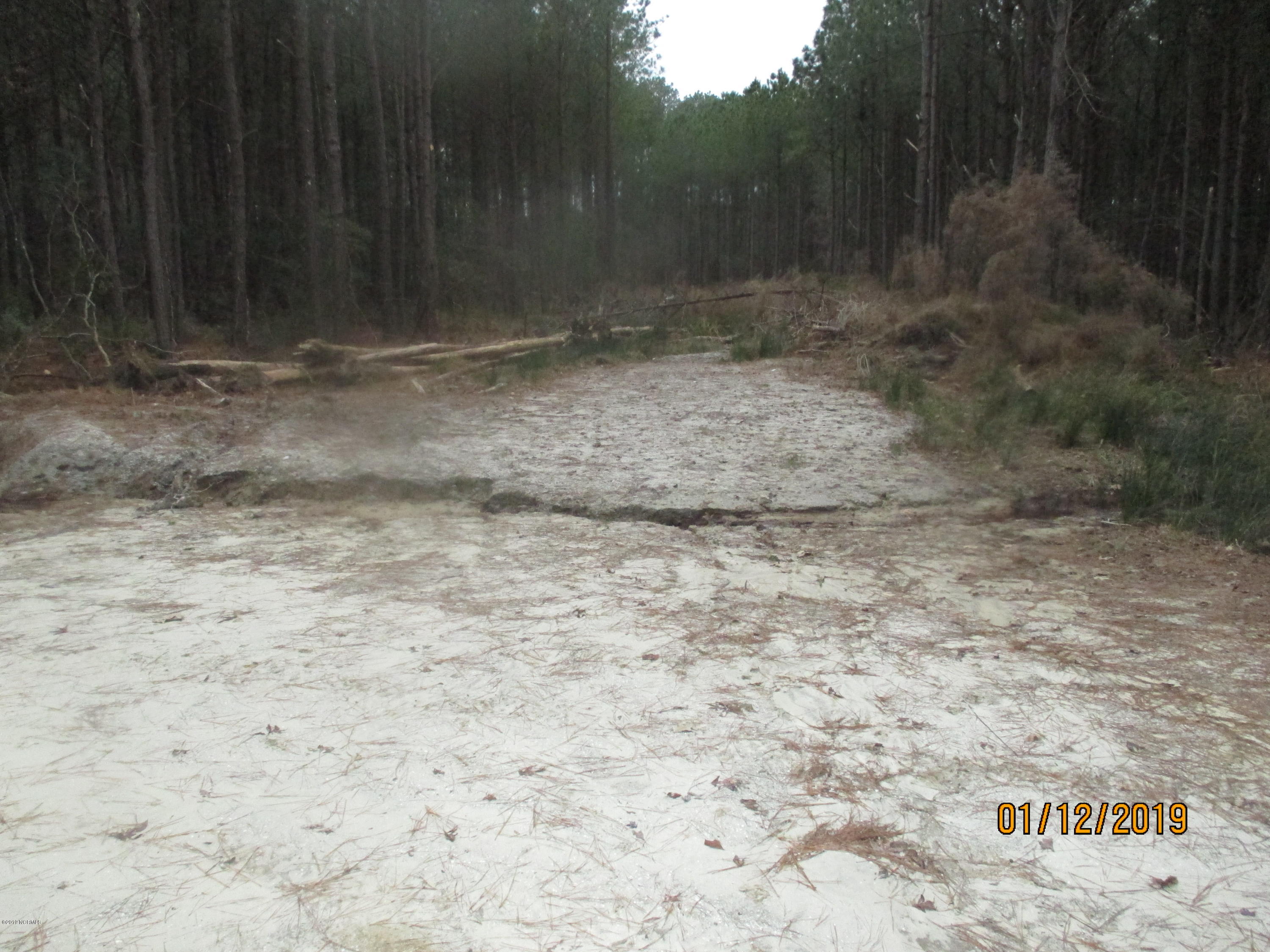1722 State Road Belhaven, NC 27810 - Photo 17 of 20 Mike McCann Pungo River 025