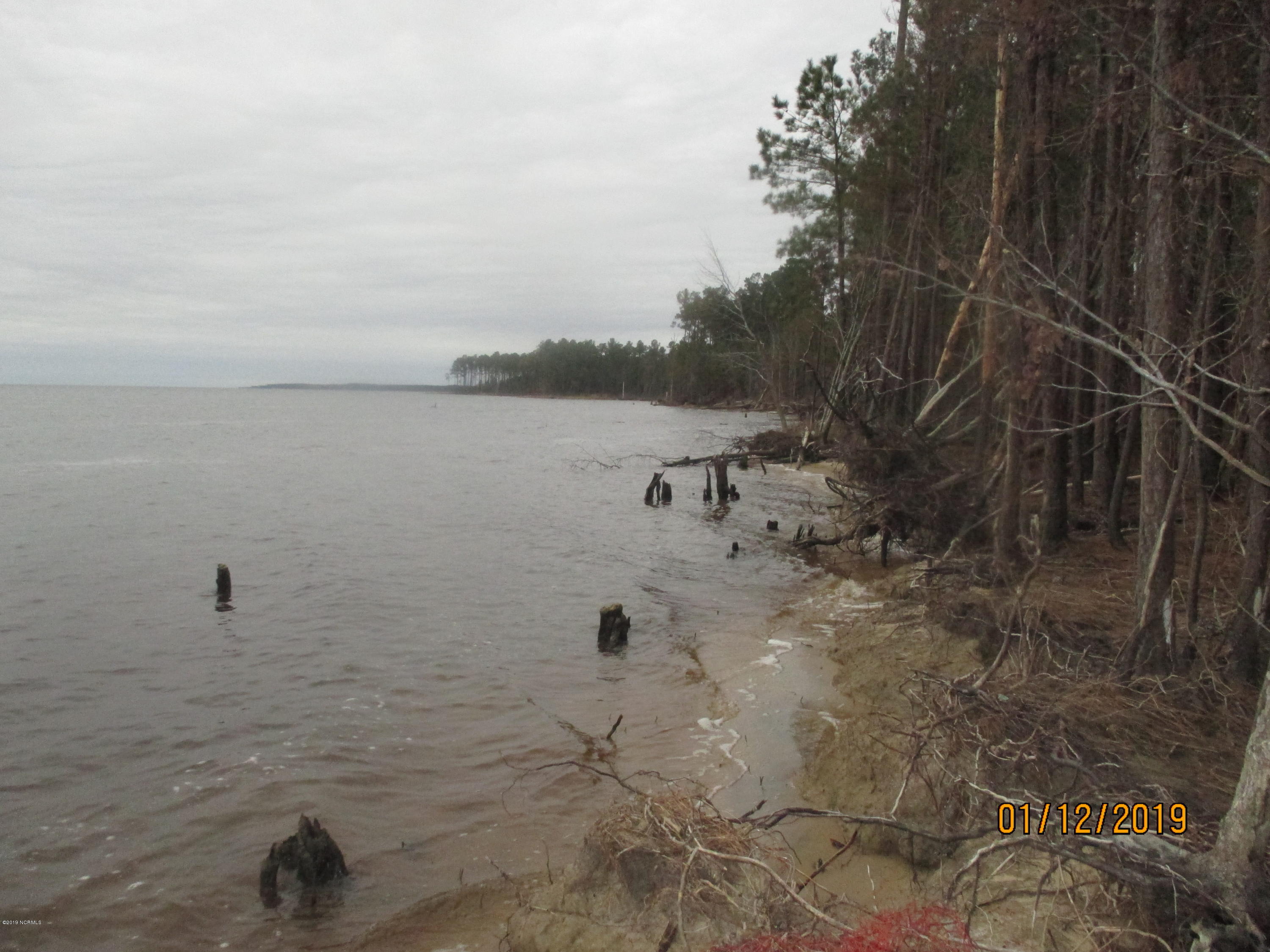 1722 State Road Belhaven, NC 27810 - Photo 20 of 20 Mike McCann Pungo River 018