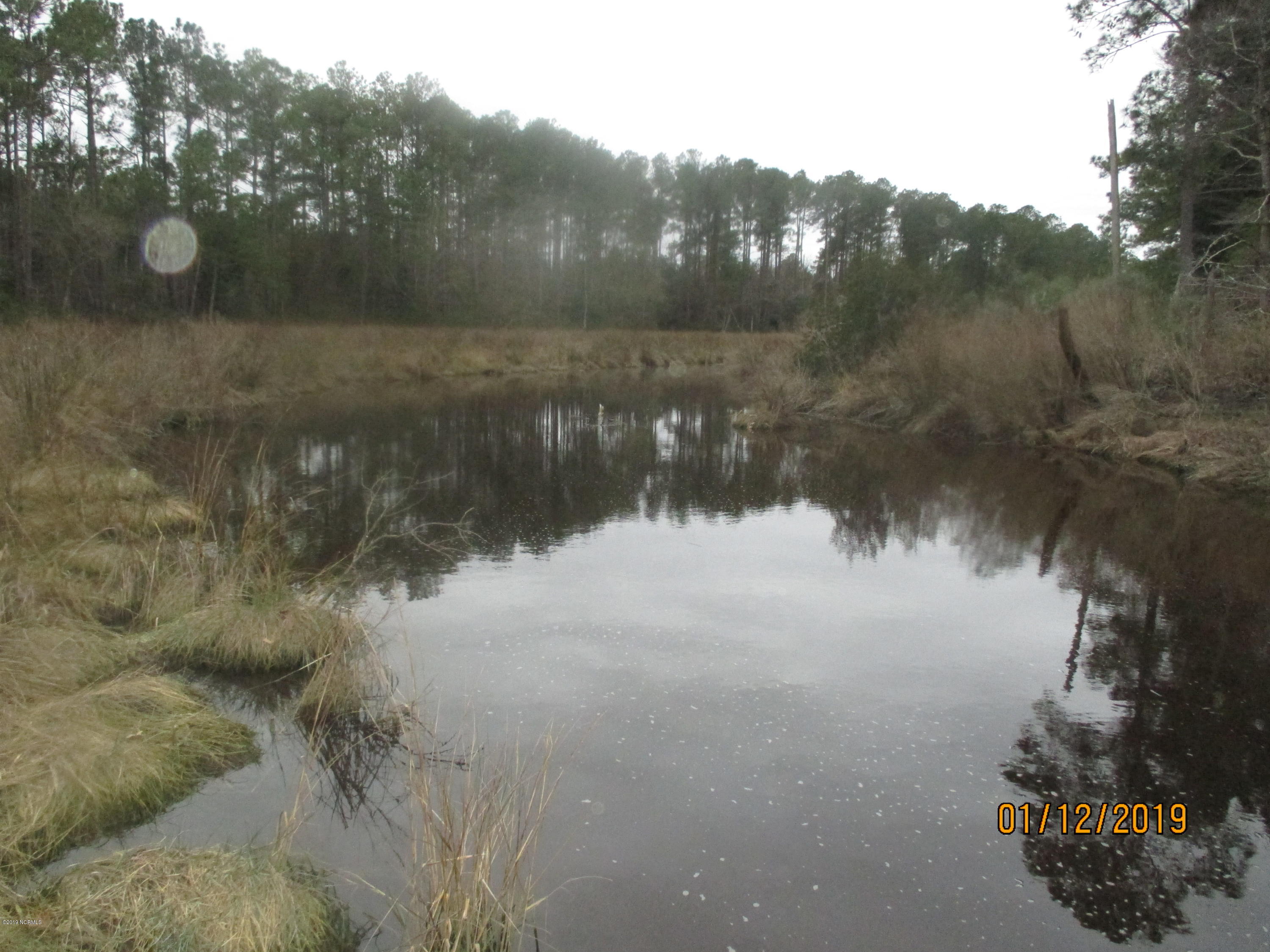 1722 State Road Belhaven, NC 27810 - Photo 3 of 20 Mike McCann Pungo River 020