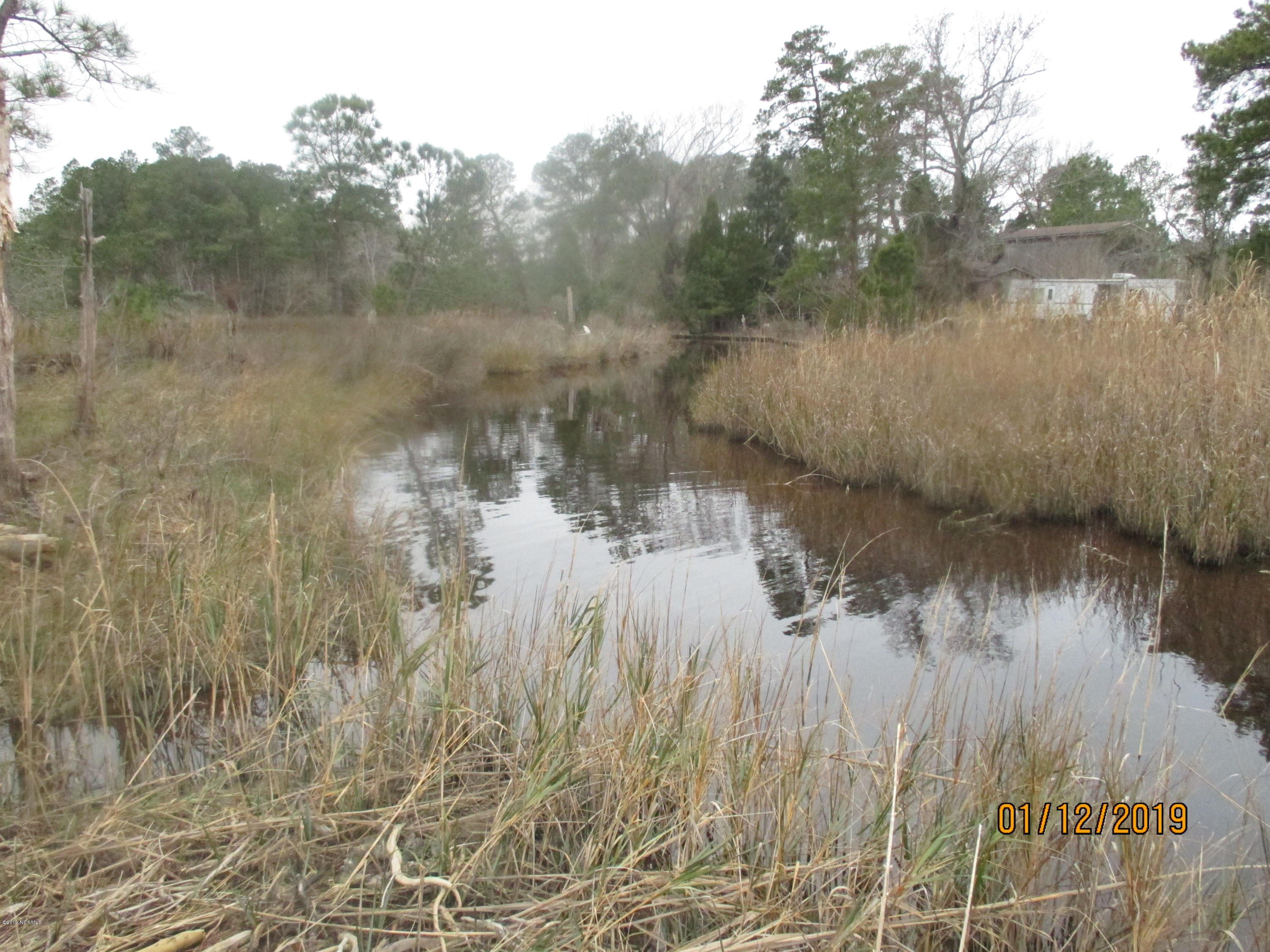 1722 State Road Belhaven, NC 27810 - Photo 5 of 20 Mike McCann Pungo River 009