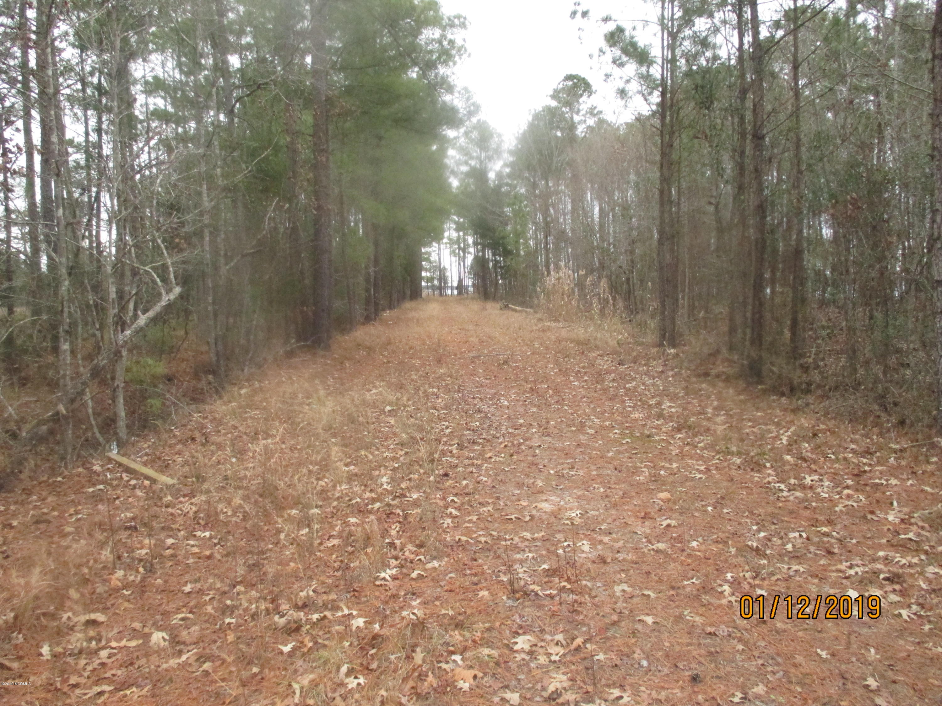 1722 State Road Belhaven, NC 27810 - Photo 6 of 20 Mike McCann Pungo River 006