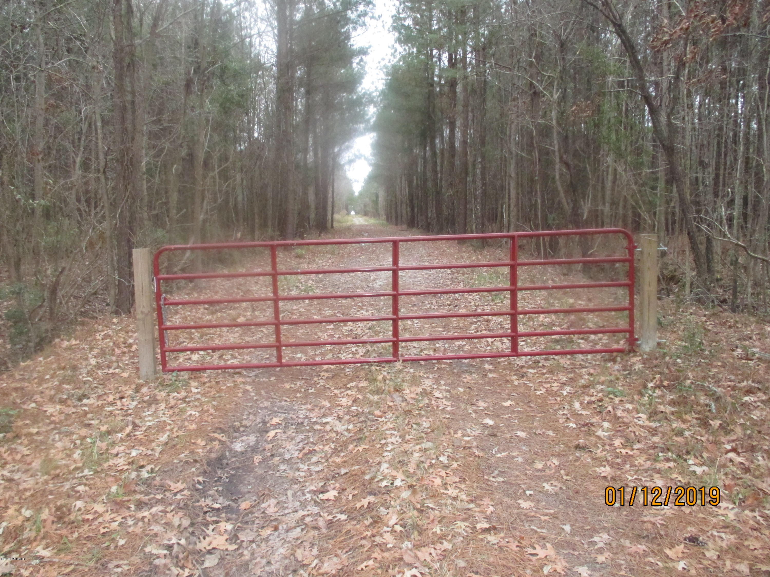 1722 State Road Belhaven, NC 27810 - Photo 7 of 20 Mike McCann Pungo River 001