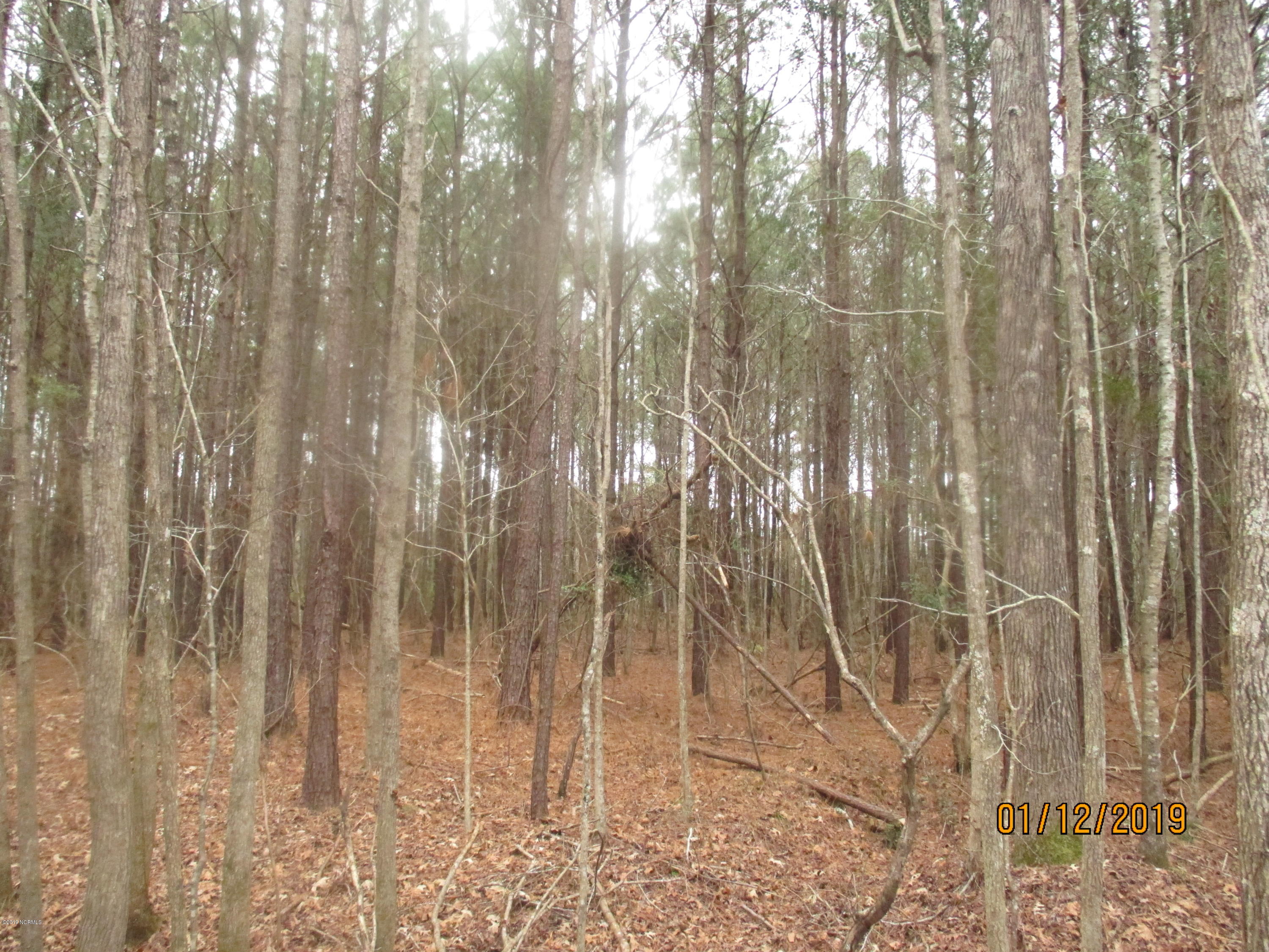 1722 State Road Belhaven, NC 27810 - Photo 8 of 20 Mike McCann Pungo River 002