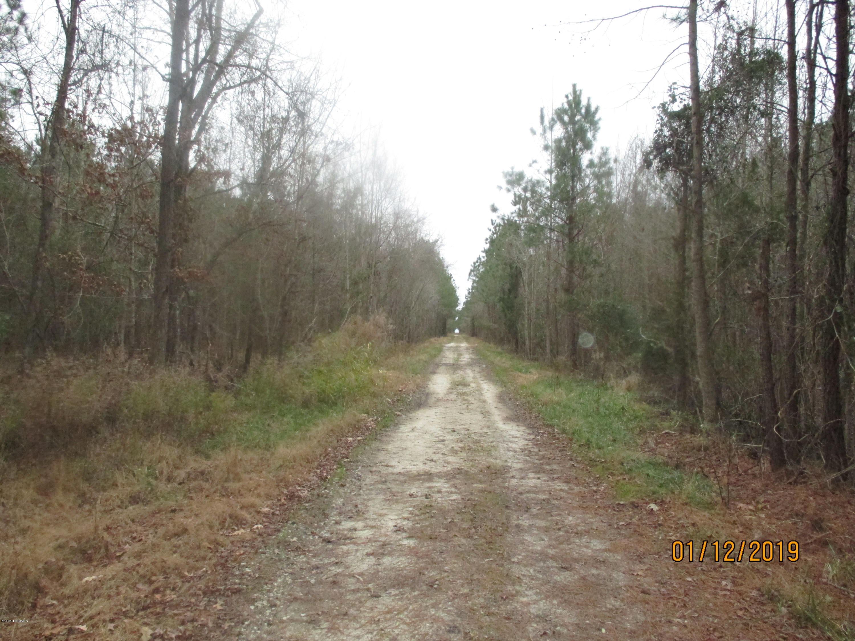 1722 State Road Belhaven, NC 27810 - Photo 9 of 20 Mike McCann Pungo River 003