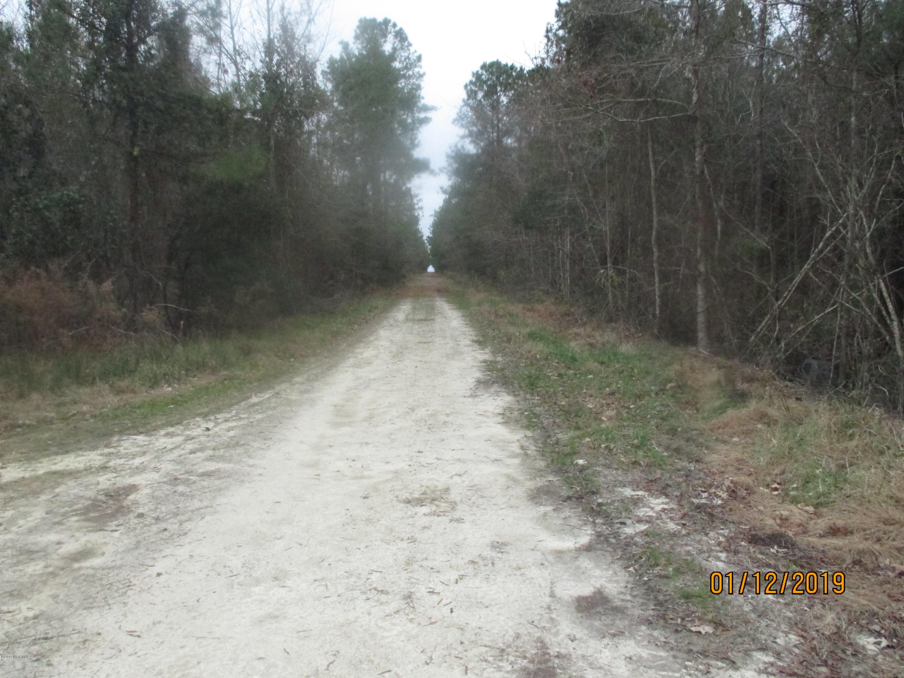 1722 State Road Belhaven, NC 27810 - Photo 10 of 20 Mike McCann Pungo River 004