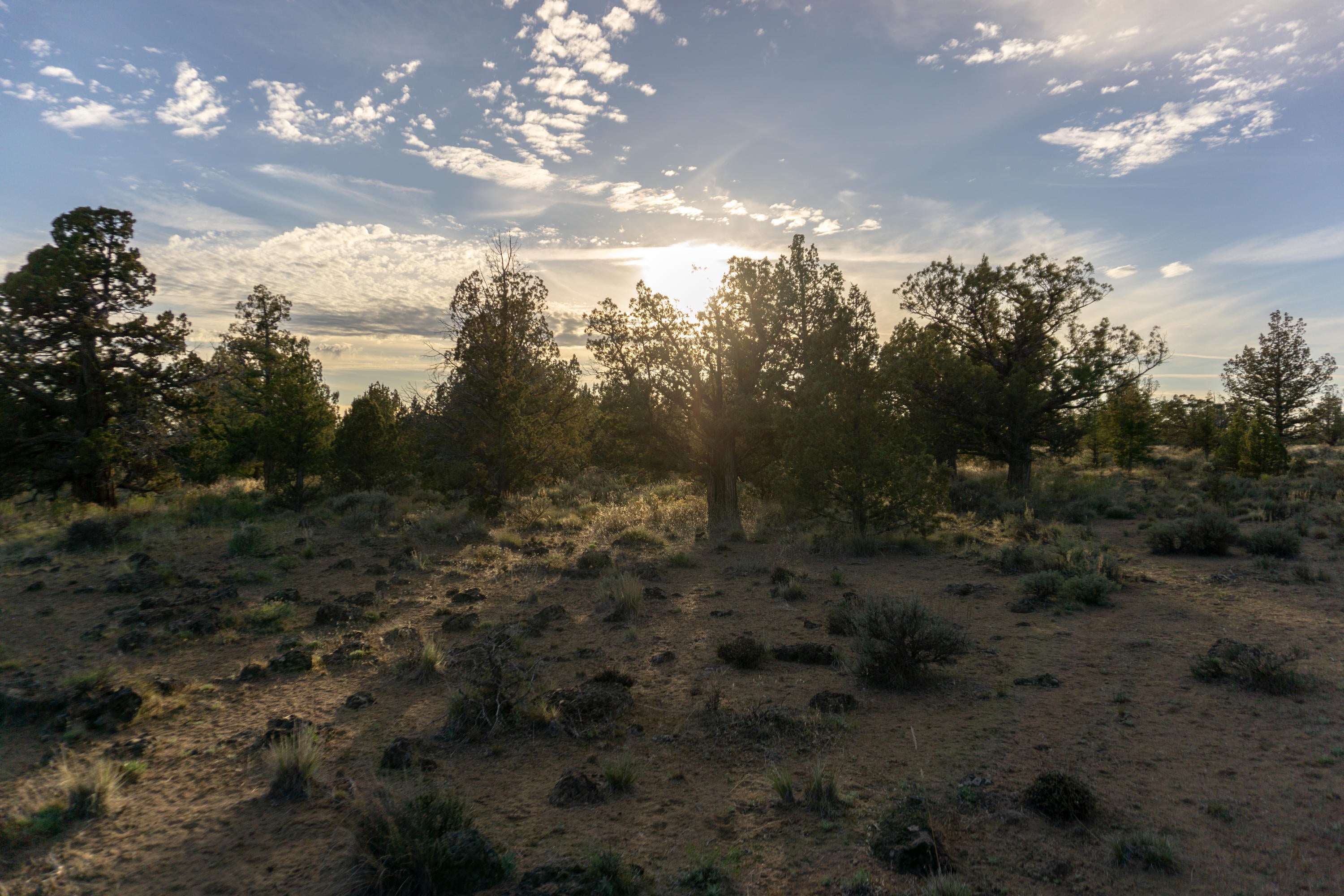 Southeast Klamath Road Prineville, OR 97754 - Photo 20 of 20 DSC03909