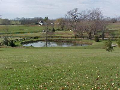 2410 Two Mile Road Winchester, KY 40391 - Photo 4 of 5 Photo 4