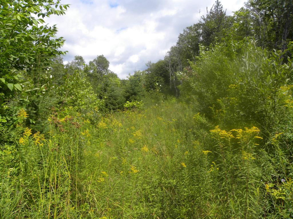 0 Spruce Ridge West Burke, VT 05871 - Photo 2 of 8 Gallery Image 2