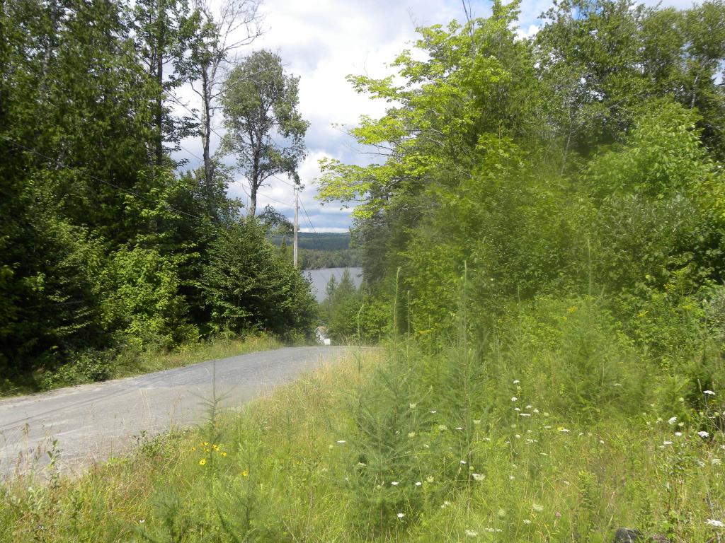 0 Spruce Ridge West Burke, VT 05871 - Photo 3 of 8 Gallery Image 3