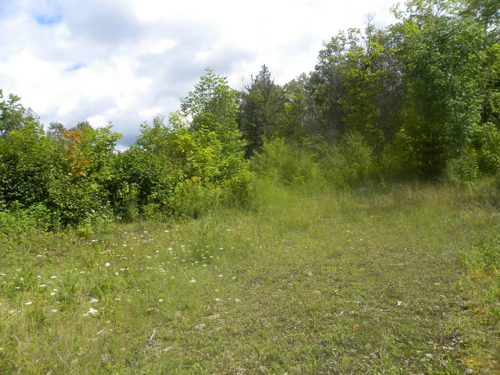 0 Spruce Ridge West Burke, VT 05871 - Photo 4 of 8 Gallery Image 4