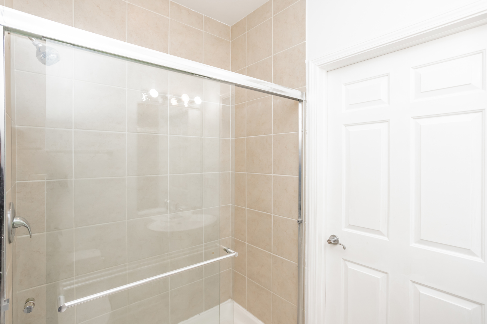1418 South Halsted Street, Unit 1A Chicago, IL 60607 - Photo 14 of 19 a bathroom with a shower