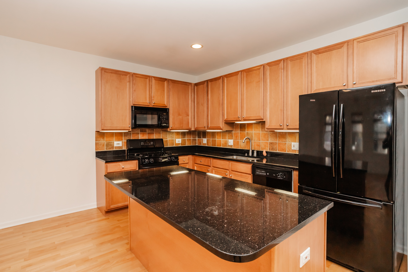 1418 South Halsted Street, Unit 1A Chicago, IL 60607 - Photo 6 of 19 a kitchen with stainless steel appliances granite countertop a refrigerator a stove top oven a sink and dishwasher