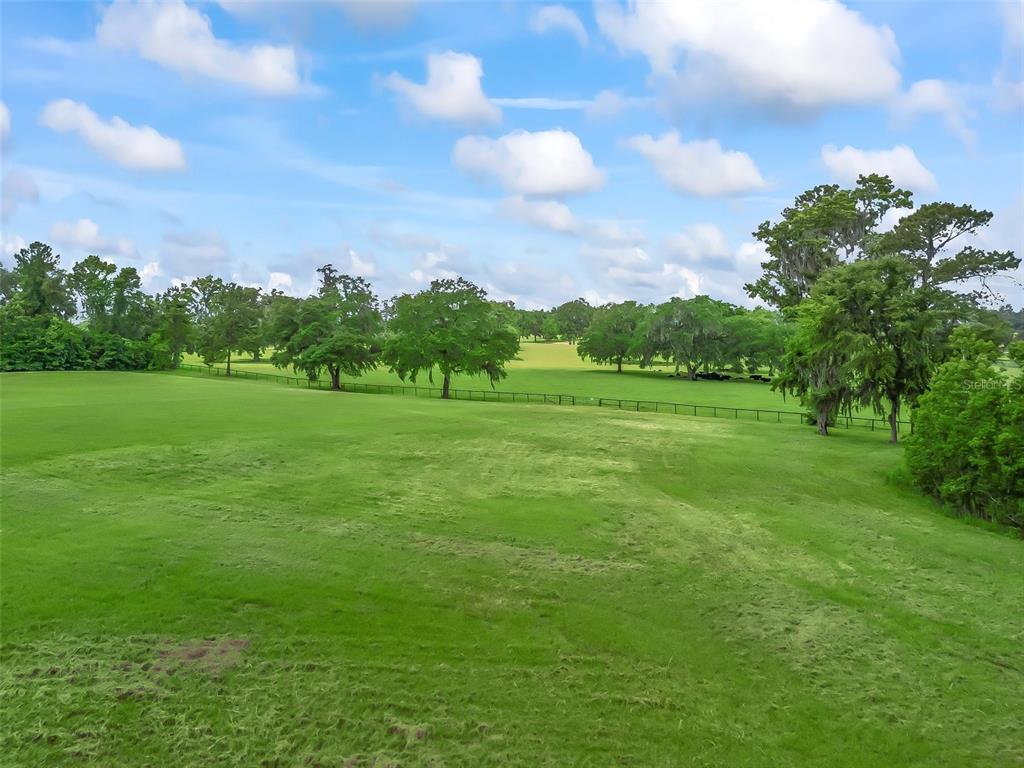 84rd Terrace Northwest Ocala, FL 34482 - Photo 9 of 14 a view of a grassy field with trees